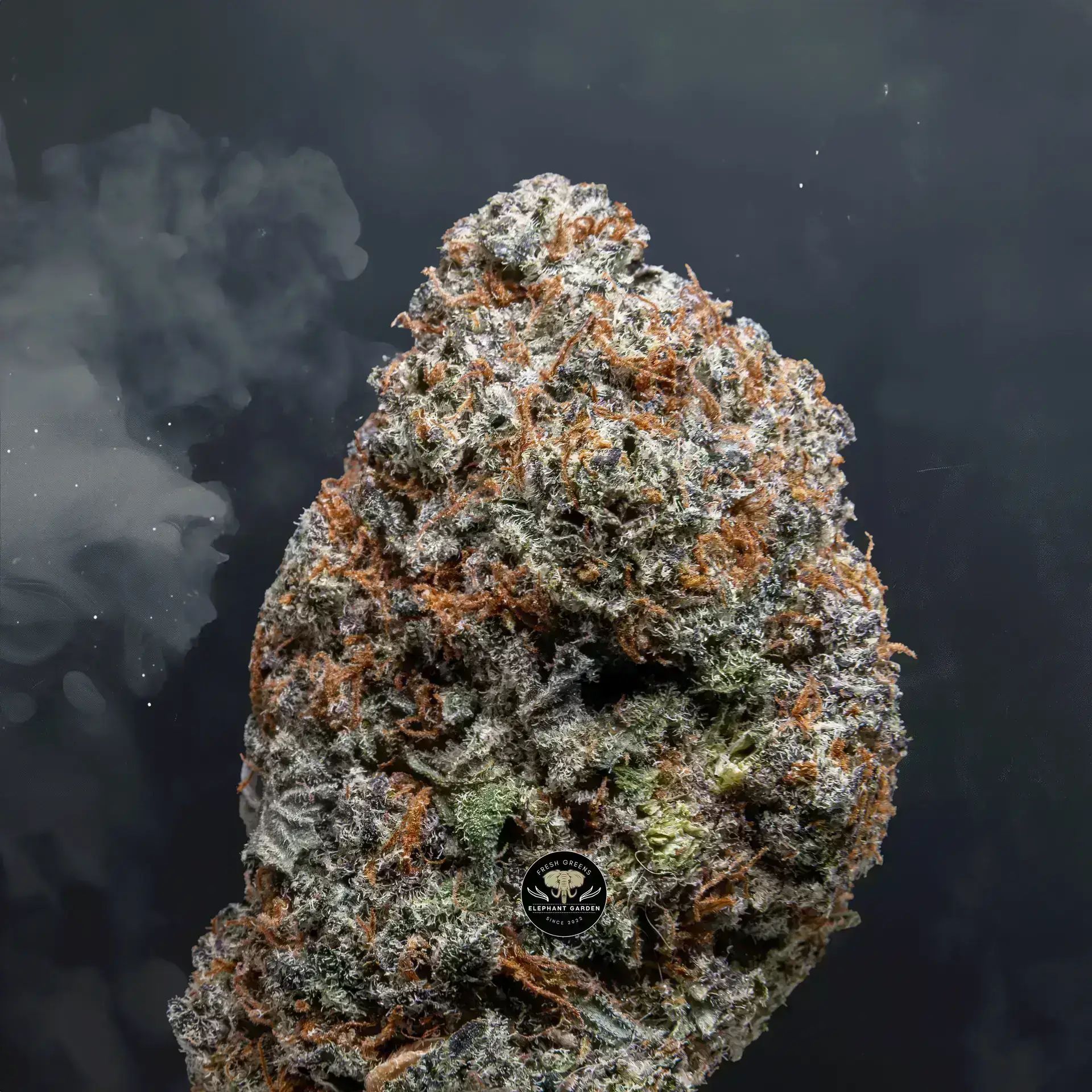 Buy Gas Cake at Elephant Garden Co Weed Dispensary Close 8 7 24 2