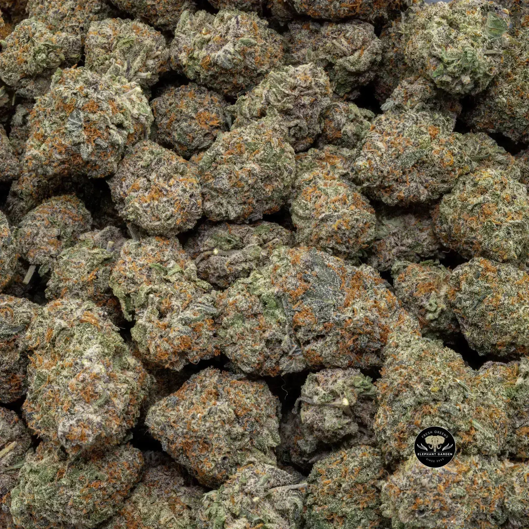 Buy Gas Cake at Elephant Garden Co Weed Dispensary Close 9 26 24 2