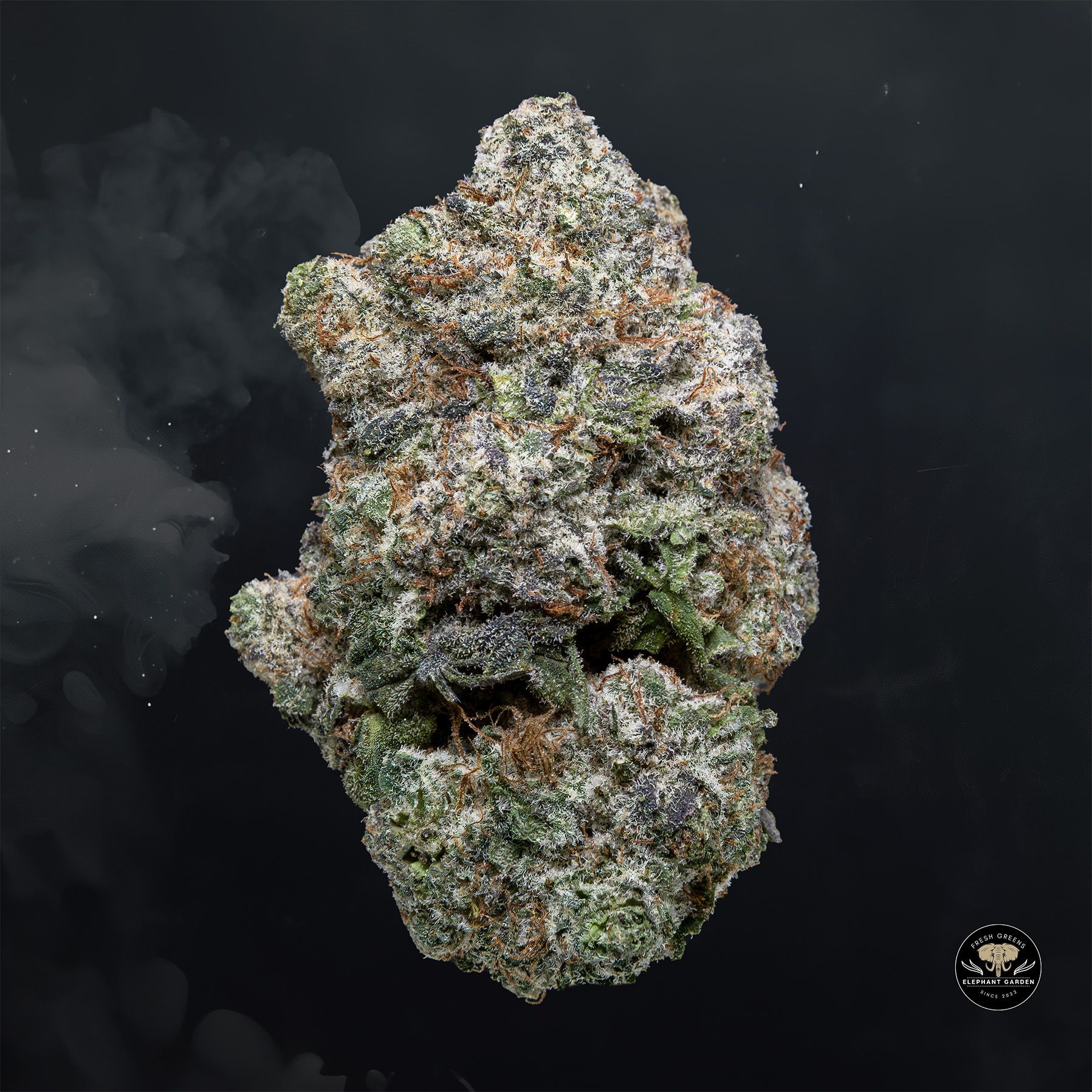 Buy Grapefruit Zlushies at Elephant Garden Co Weed Dispensary Float 1 23 24 2