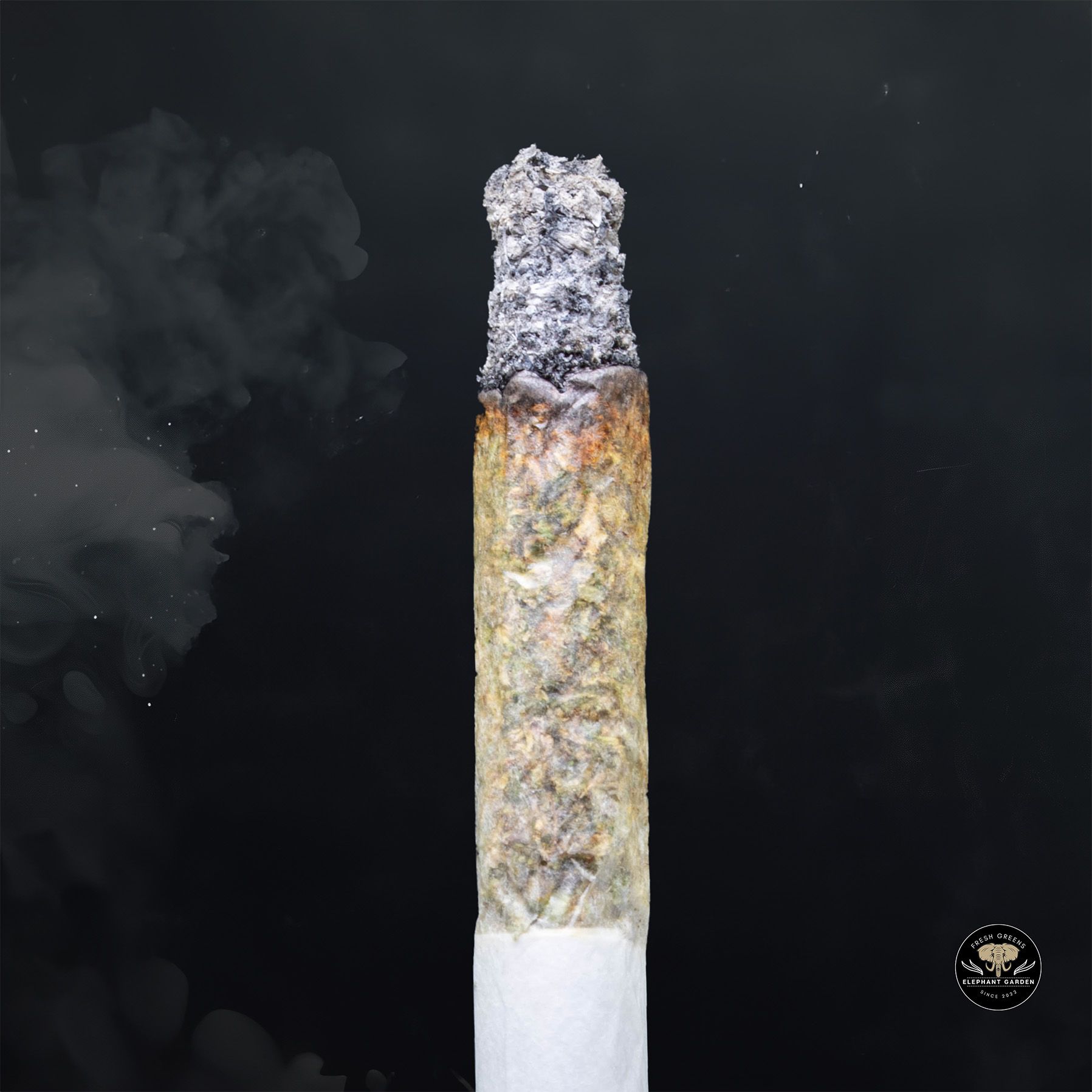 Buy Grapefruit Slushies lso at Elephant Garden Co Weed Dispensary Burn 1 23 25