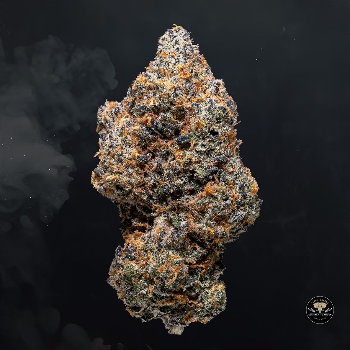 Buy Fruit Loops at Elephant Garden Co Weed Dispensary Float 3 11 25 2
