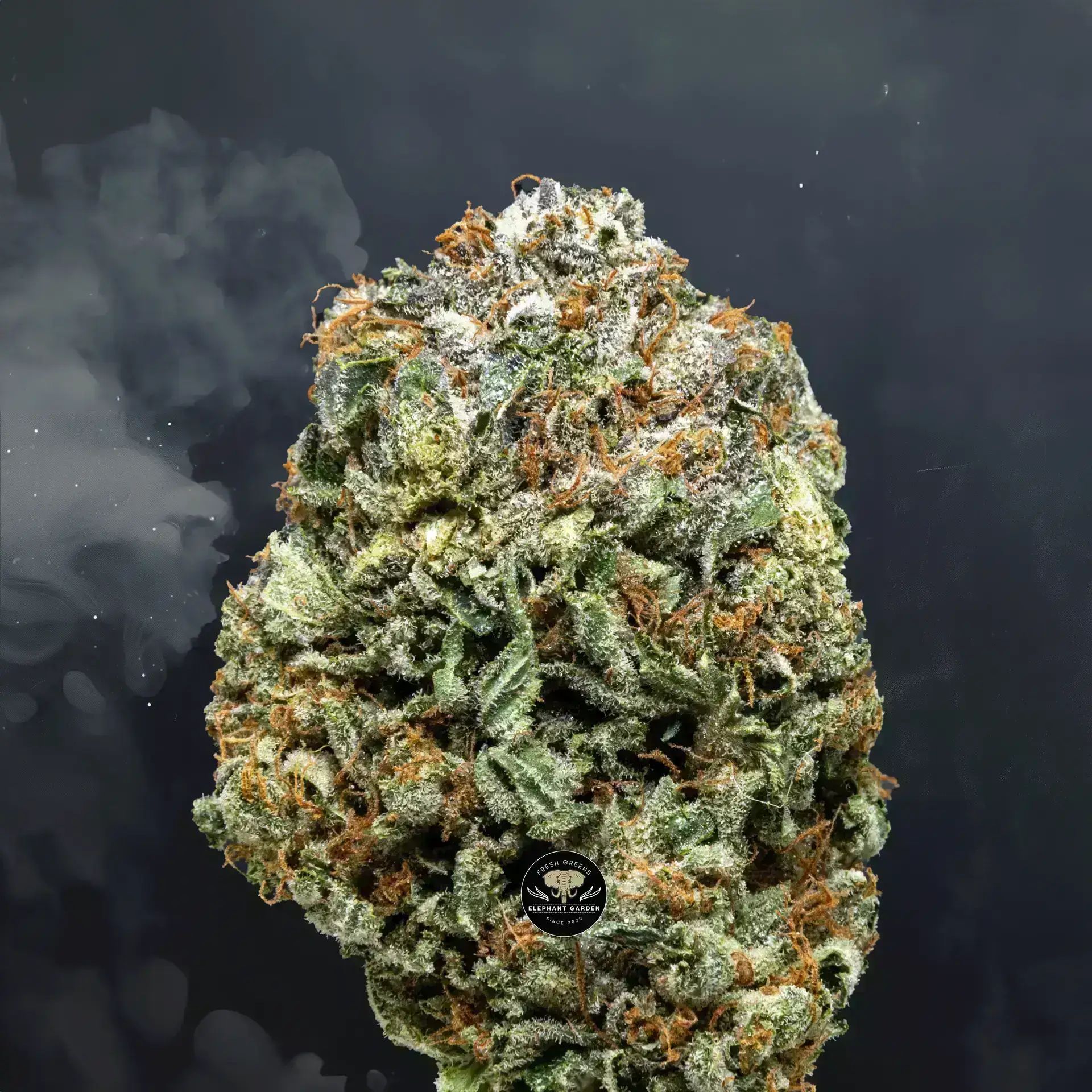 Buy Lindsay OG at Elephant Garden Co Weed Dispensary Close 8 7 24 2