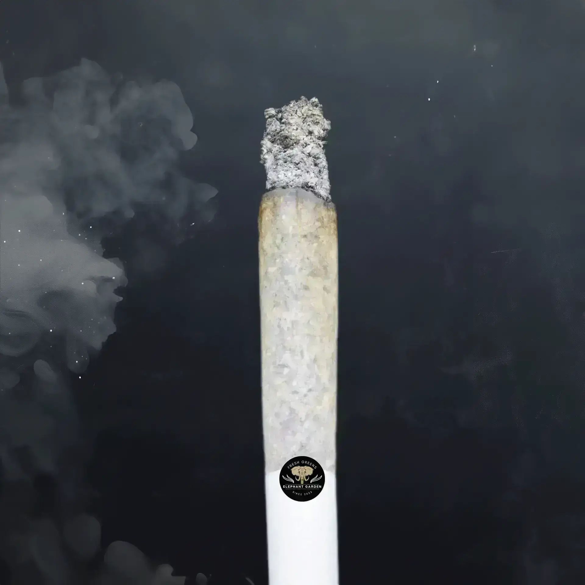 Buy Nightmare Cookies at Elephant Garden Co Weed Dispensary Burn Test 8 7 2024 2