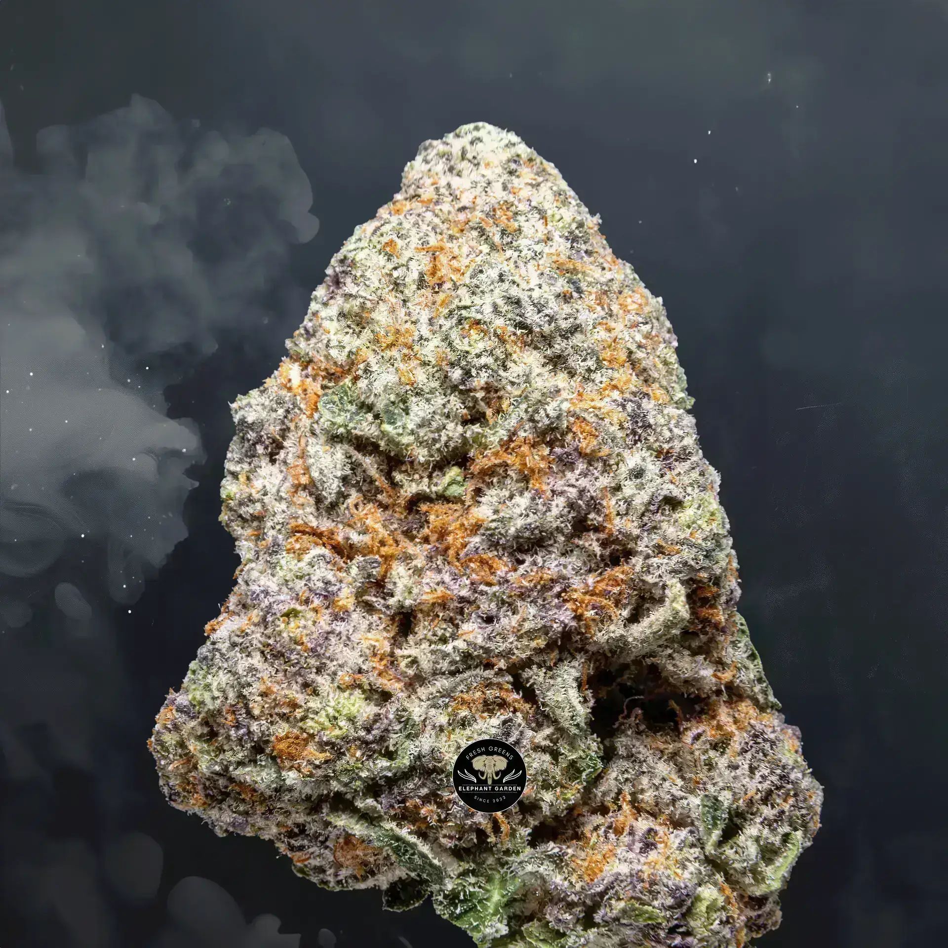 Buy Nightmare Cookies at Elephant Garden Co Weed Dispensary Close 8 7 24 2