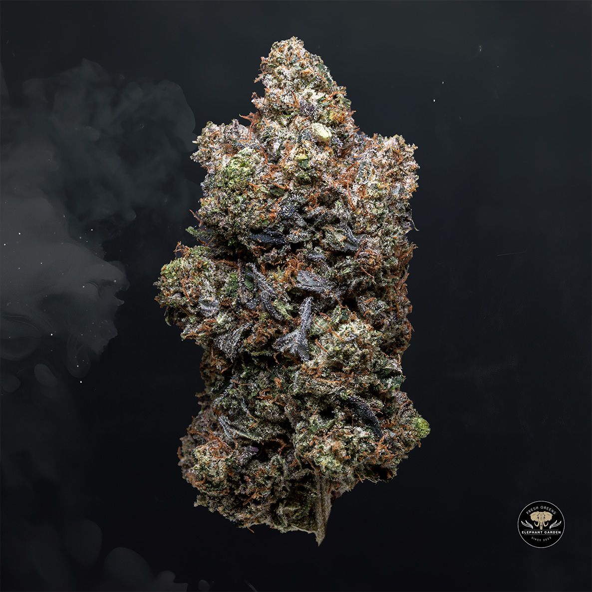 Buy Rockstar Tuna at Elephant Garden Co Weed Dispensary Float 4 15 25 2