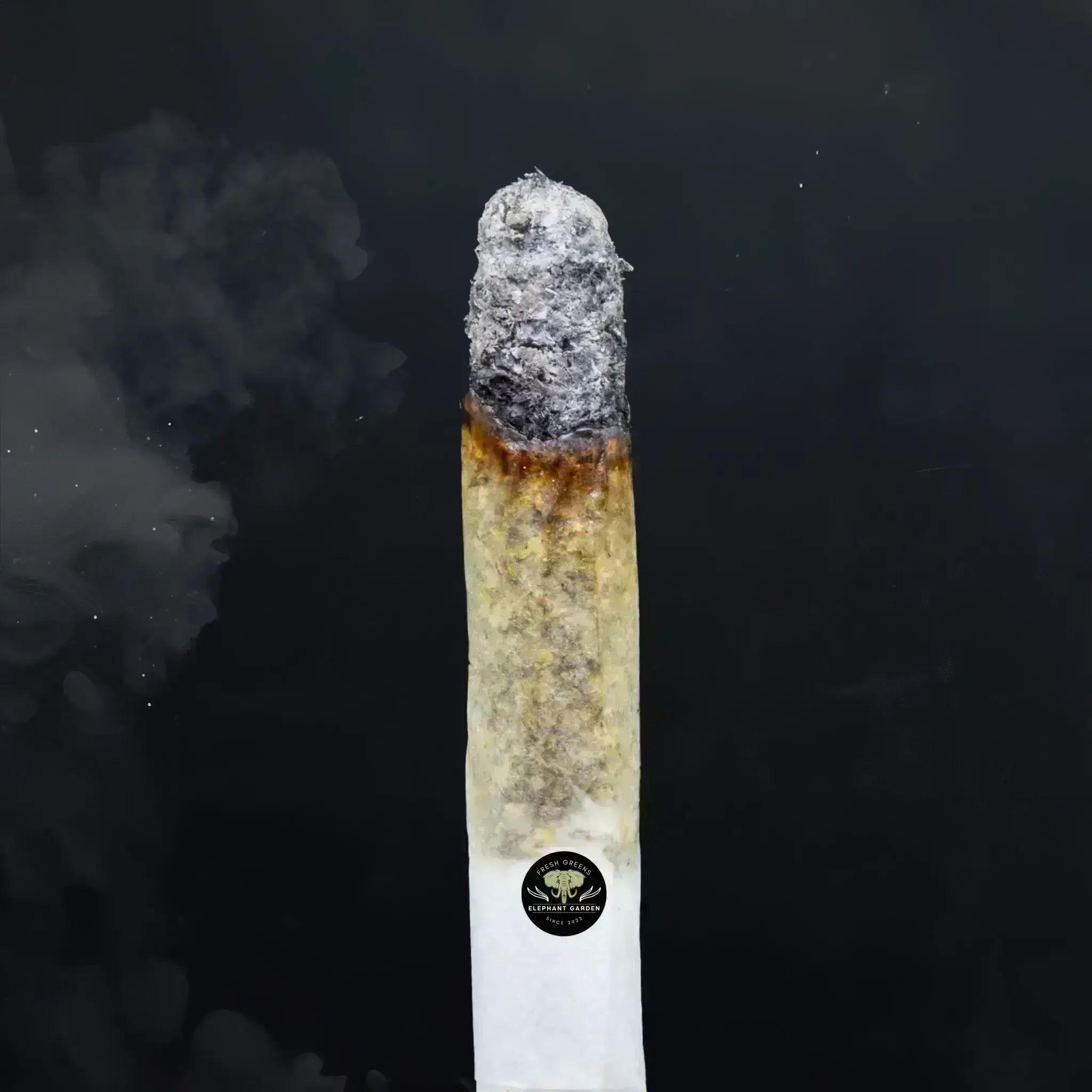 Buy Blackberry Cream at Elephant Garden Co Weed Dispensary Close 8 19 24 2