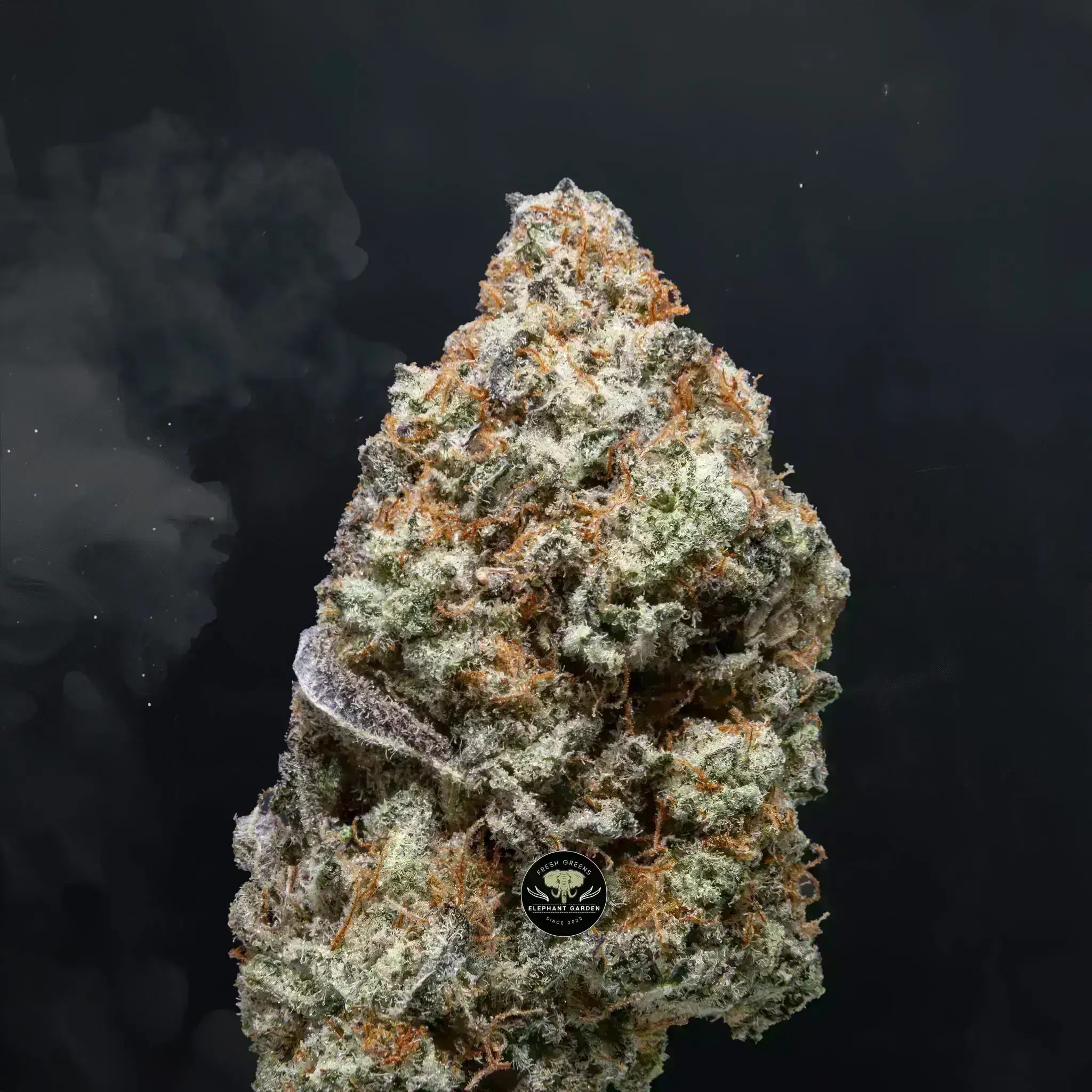 Buy Blackberry Cream at Elephant Garden Co Weed Dispensary Close 8 19 24 3