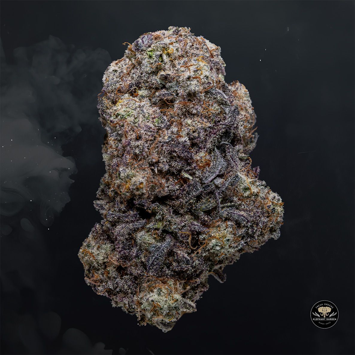 Buy Blackberry Cream at Elephant Garden Co Weed Dispensary Float 3 11 25 2