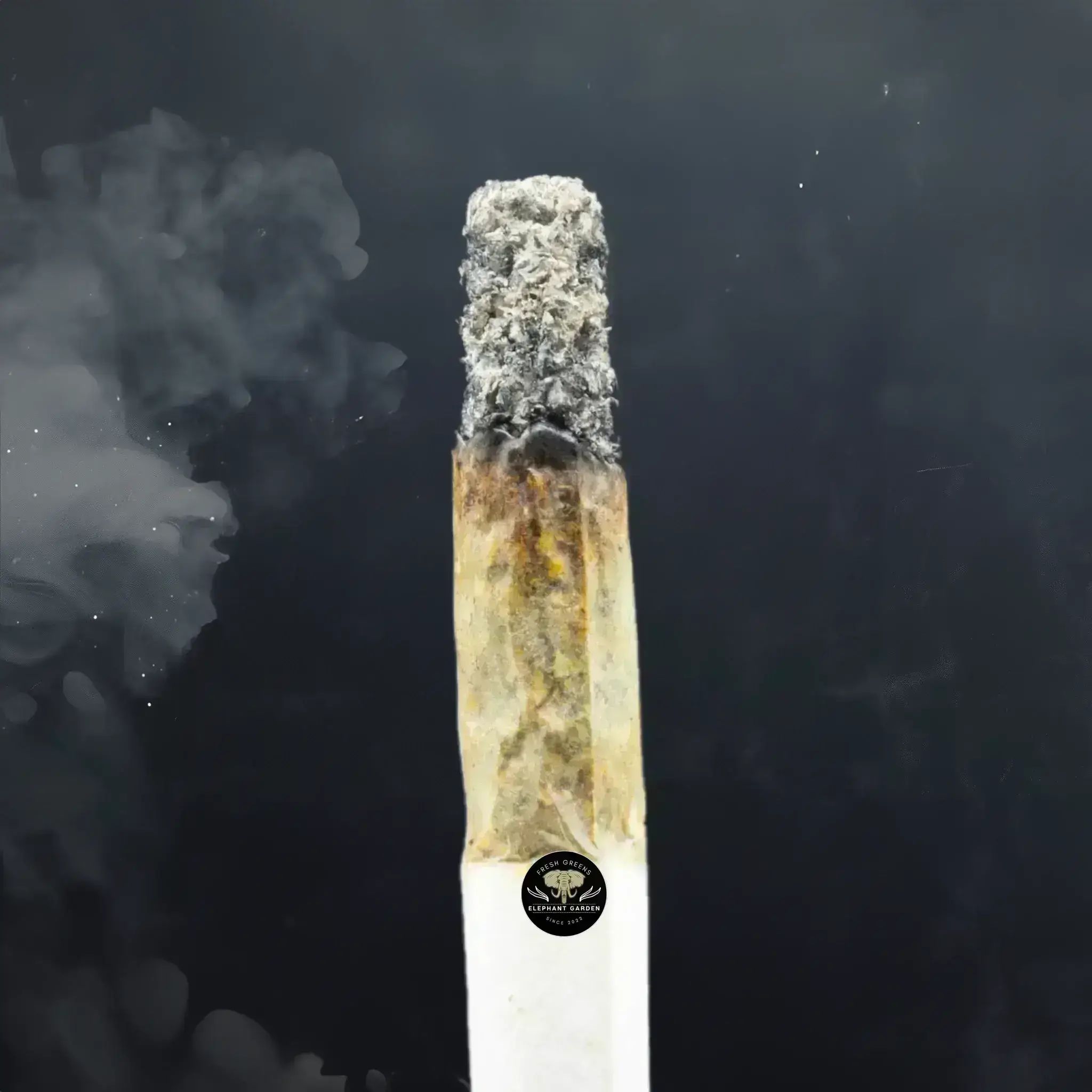 Buy Platinum Bubba at Elephant Garden Co Weed Dispensary Close 8 19 24 2