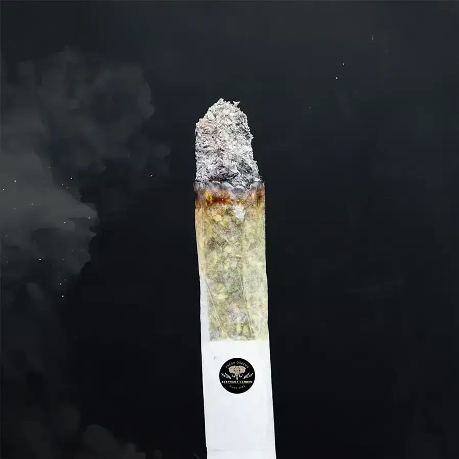 Buy Death Star at Elephant Garden Co Weed Dispensary Close 8 19 24 2