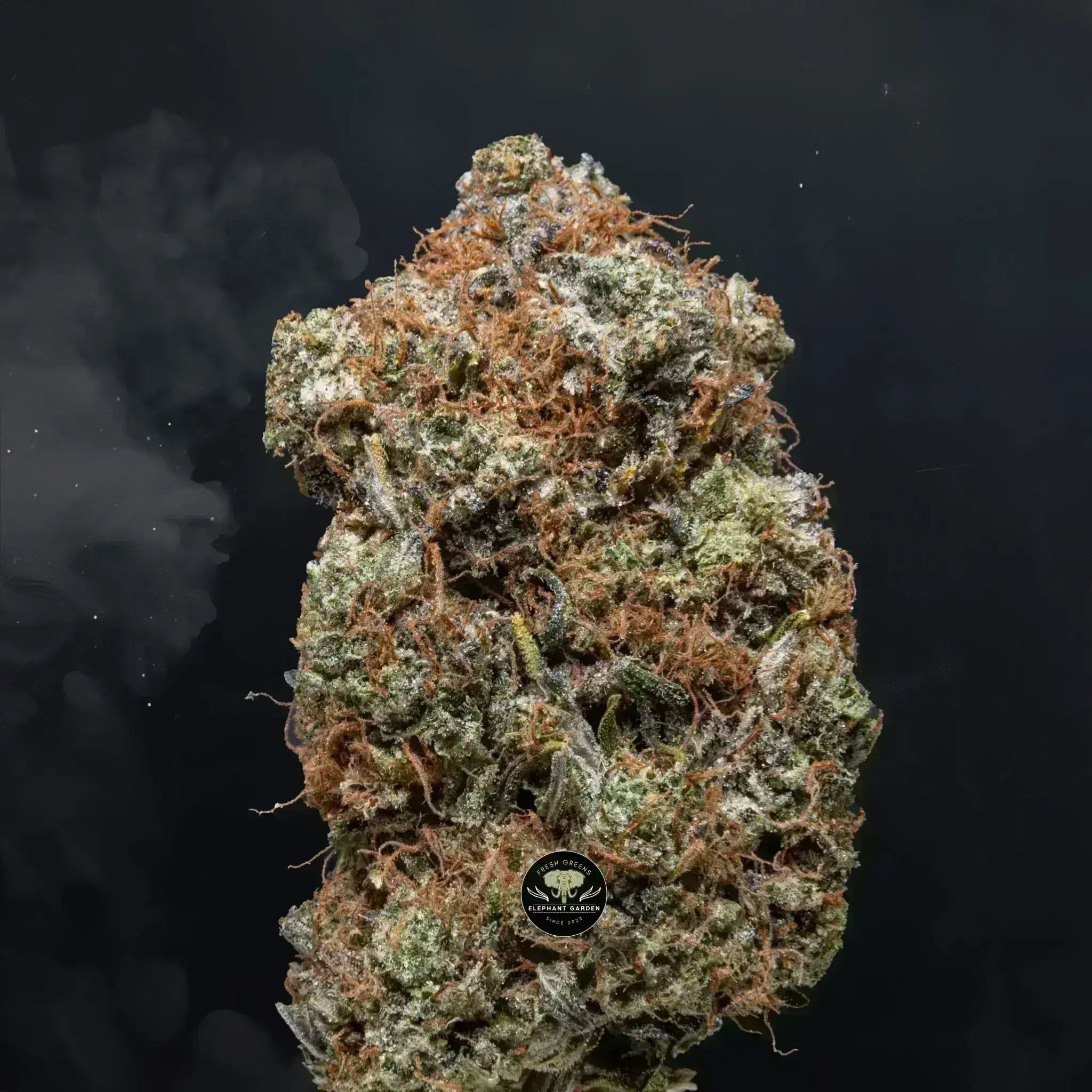 Buy Death Star at Elephant Garden Co Weed Dispensary Close 8 19 24 3