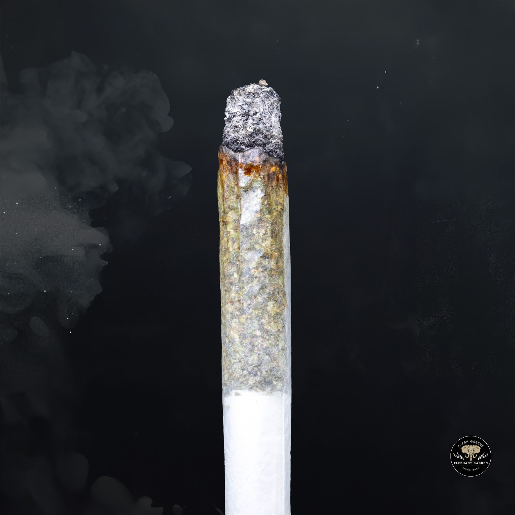 Buy Black Ice at Elephant Garden Co Weed Dispensary Burn 1 23 25