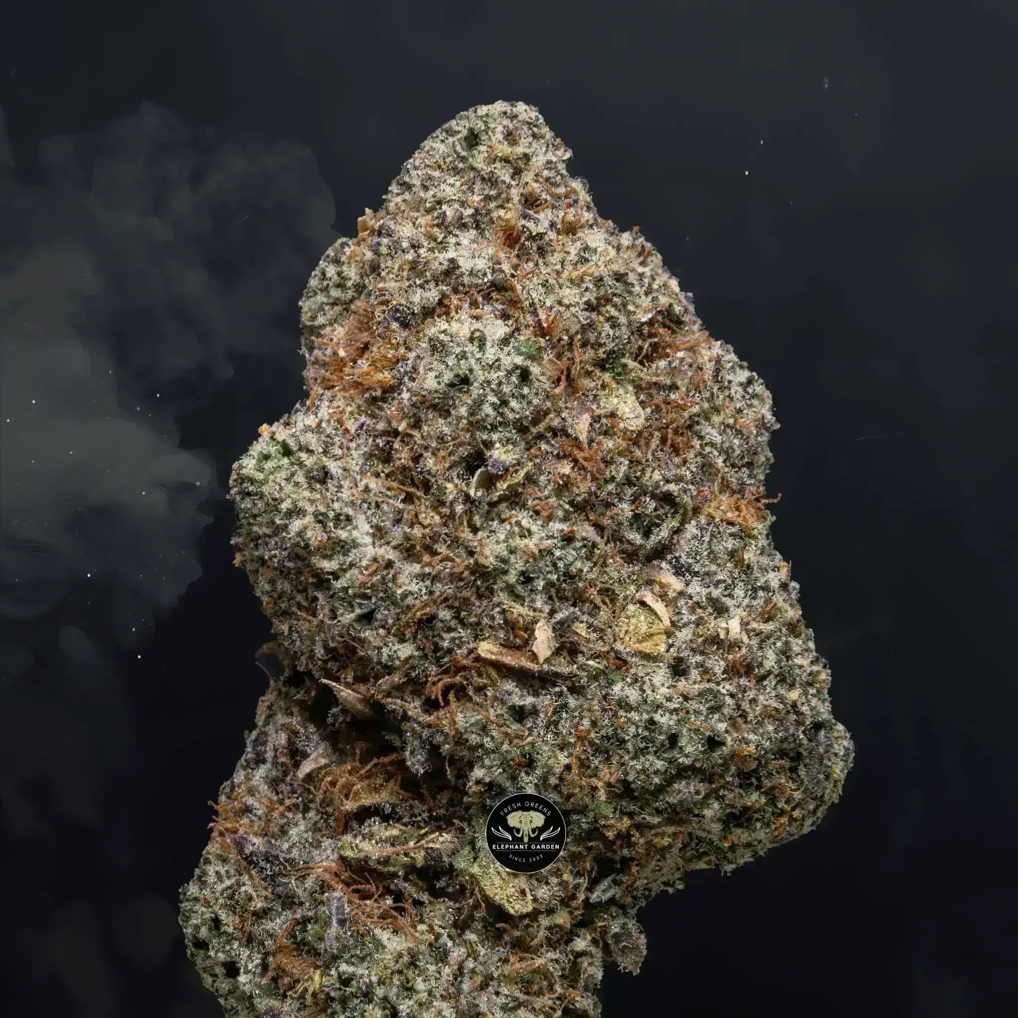 Buy Night Terror at Elephant Garden Co Weed Dispensary Burn Test 8 7 2024 6
