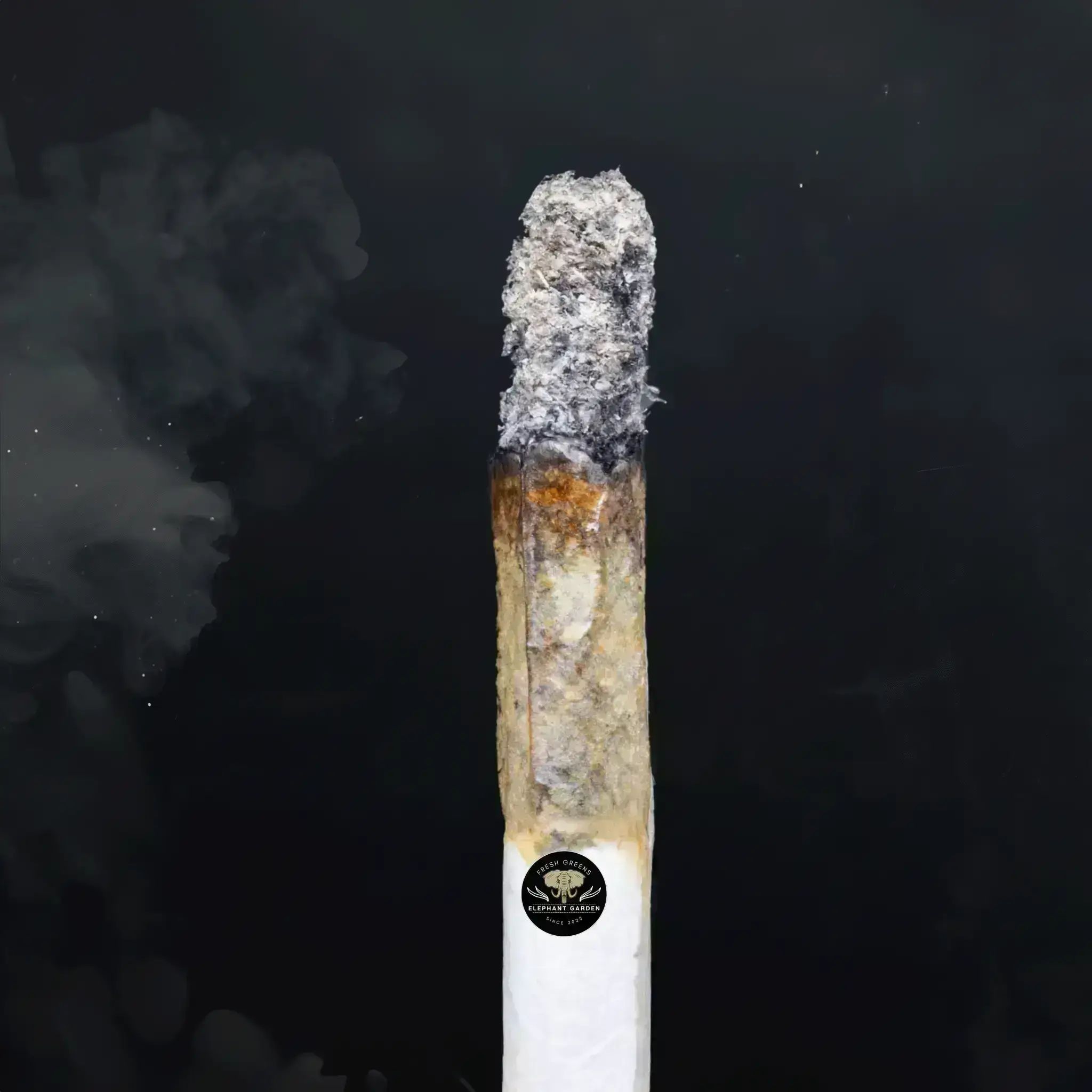 Buy Night Terror at Elephant Garden Co Weed Dispensary Close 8 19 24 2