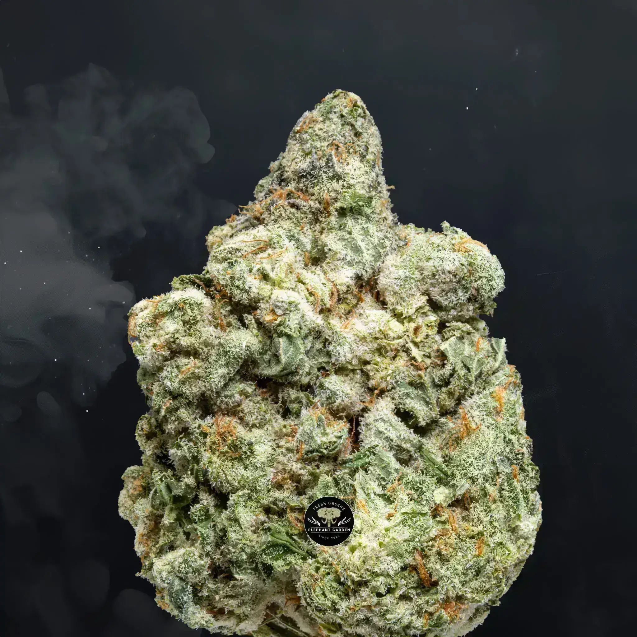 Buy Galactic Glue at Elephant Garden Co Weed Dispensary Burn Test 8 7 2024 6