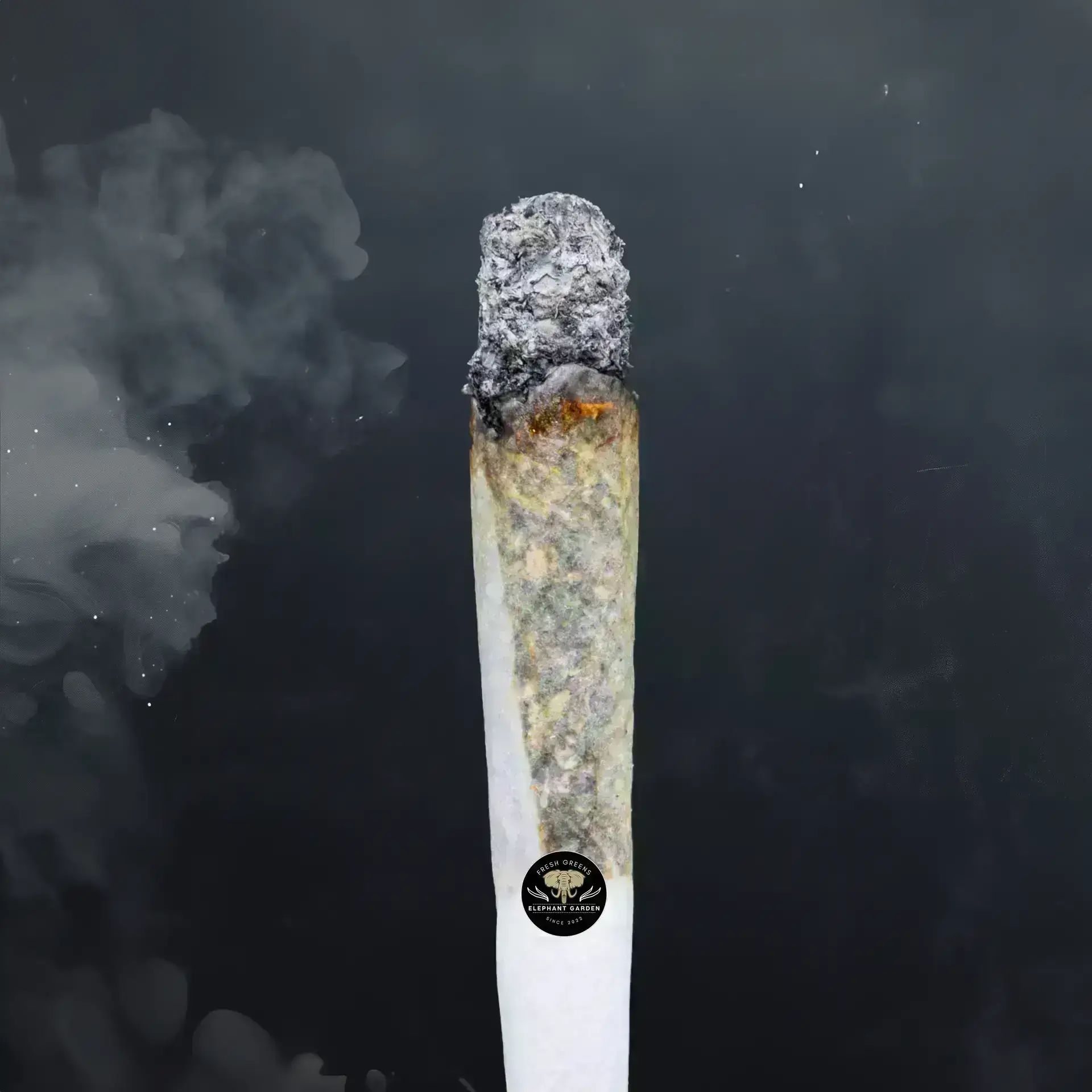Buy Grape Gasoline at Elephant Garden Co Weed Dispensary Burn Test 8 7 2024 2