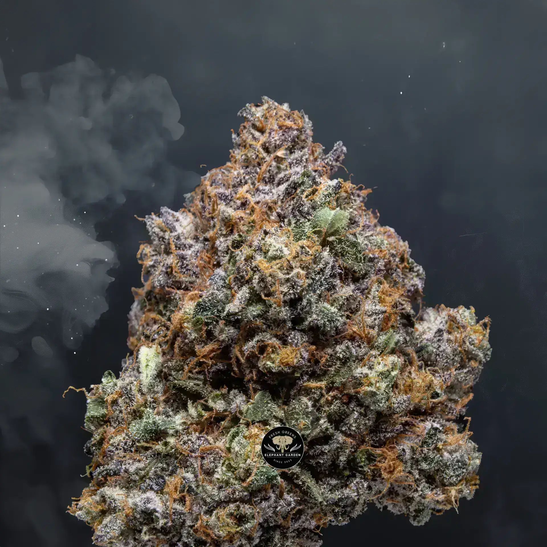 Buy Grape Gasoline at Elephant Garden Co Weed Dispensary Close 8 7 24 2