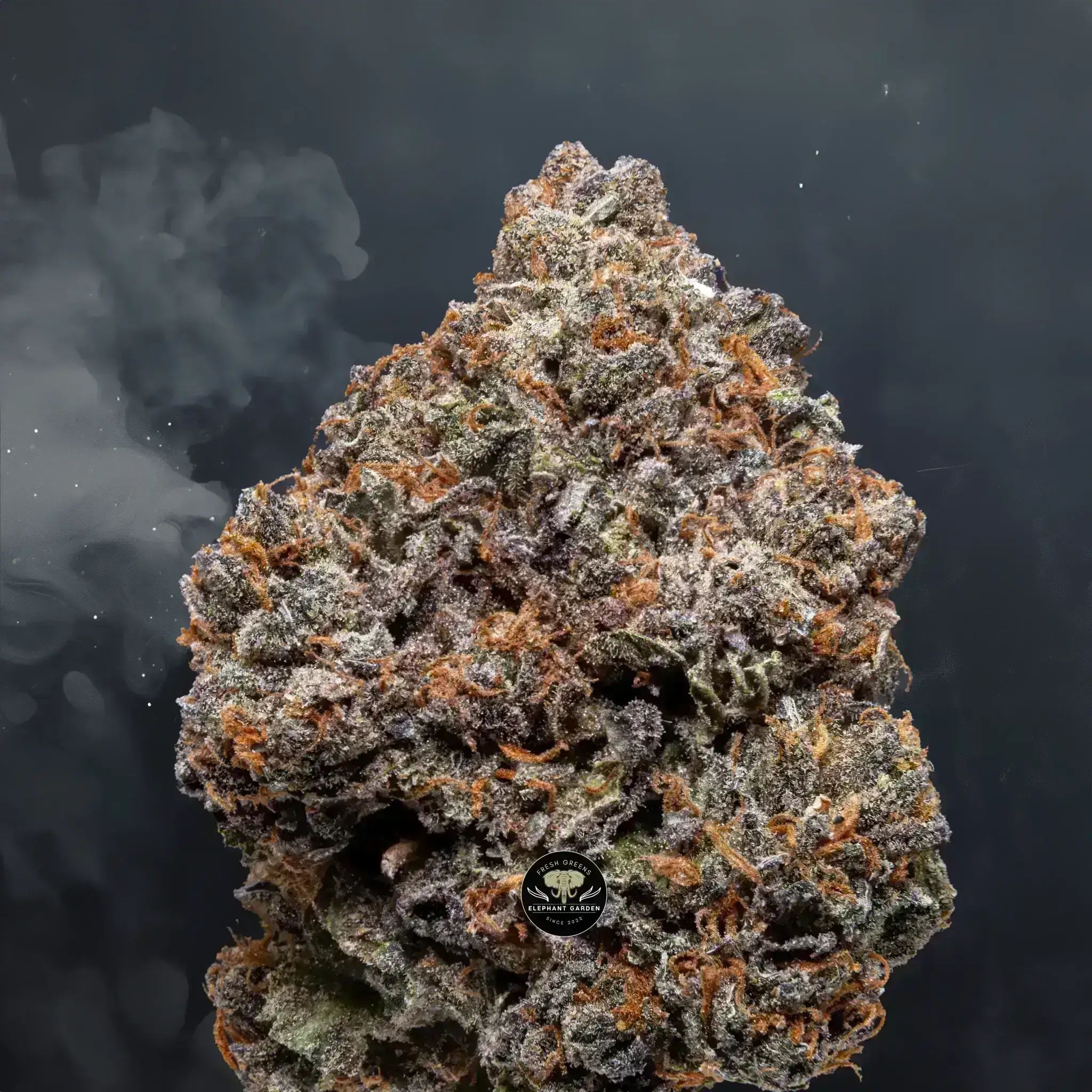 Buy Grape Jelly at Elephant Garden Co Weed Dispensary Burn Test 8 7 2024 4