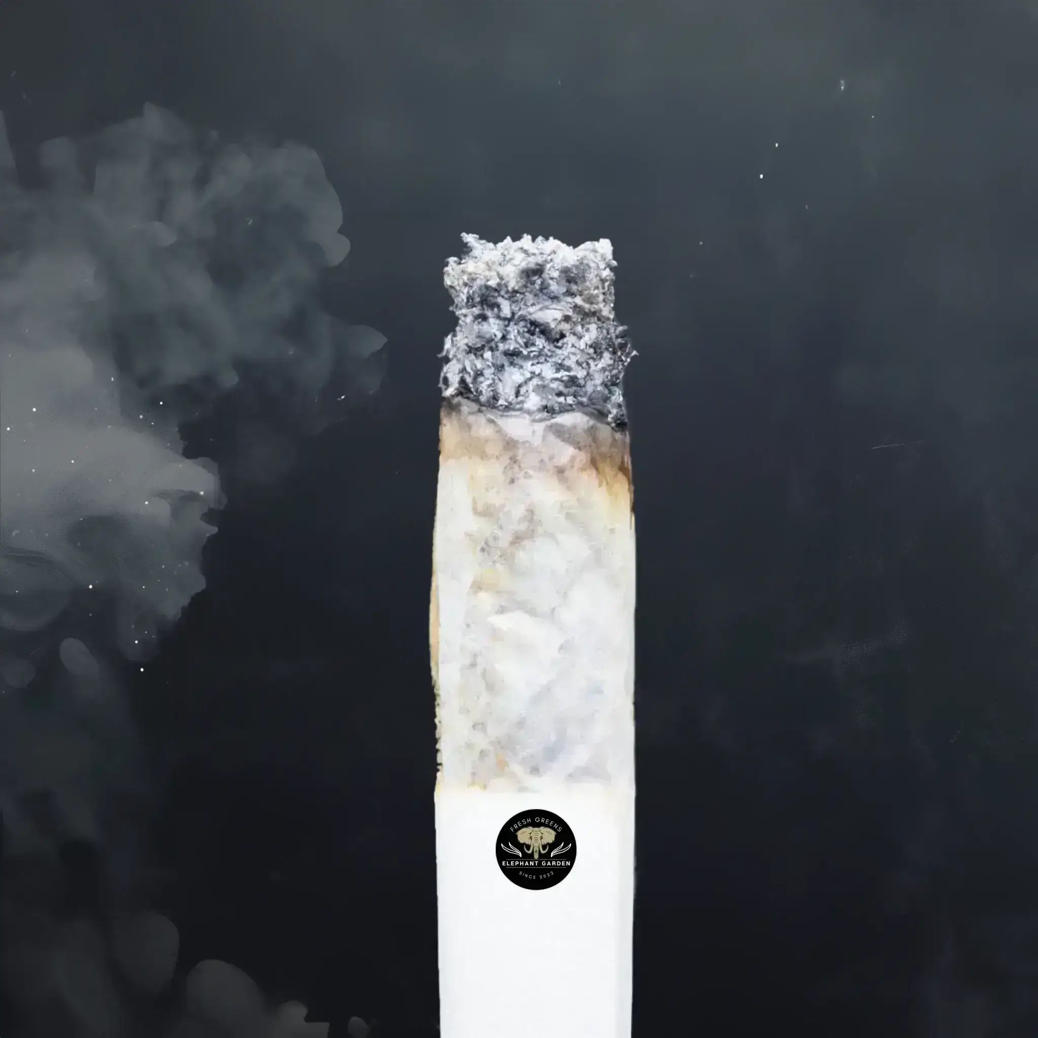 Buy Grape jelly at Elephant Garden Co Weed Dispensary Burn Test 8 7 2024 2