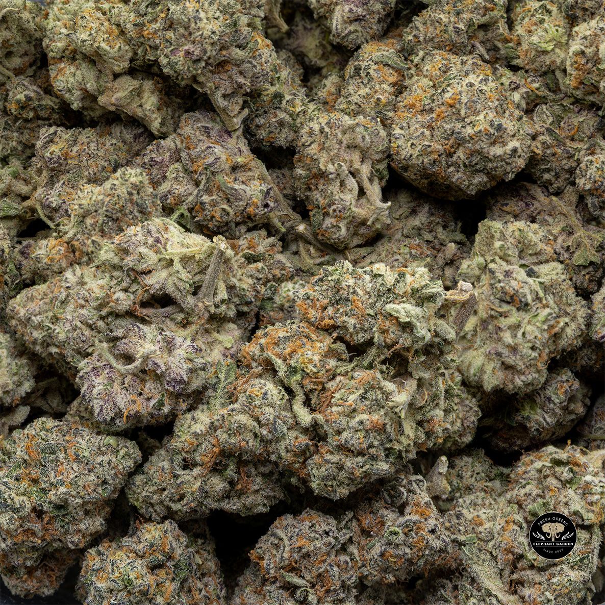 Buy Ice Wine at Elephant Garden Co Weed Dispensary Bulk 5 15 25 2
