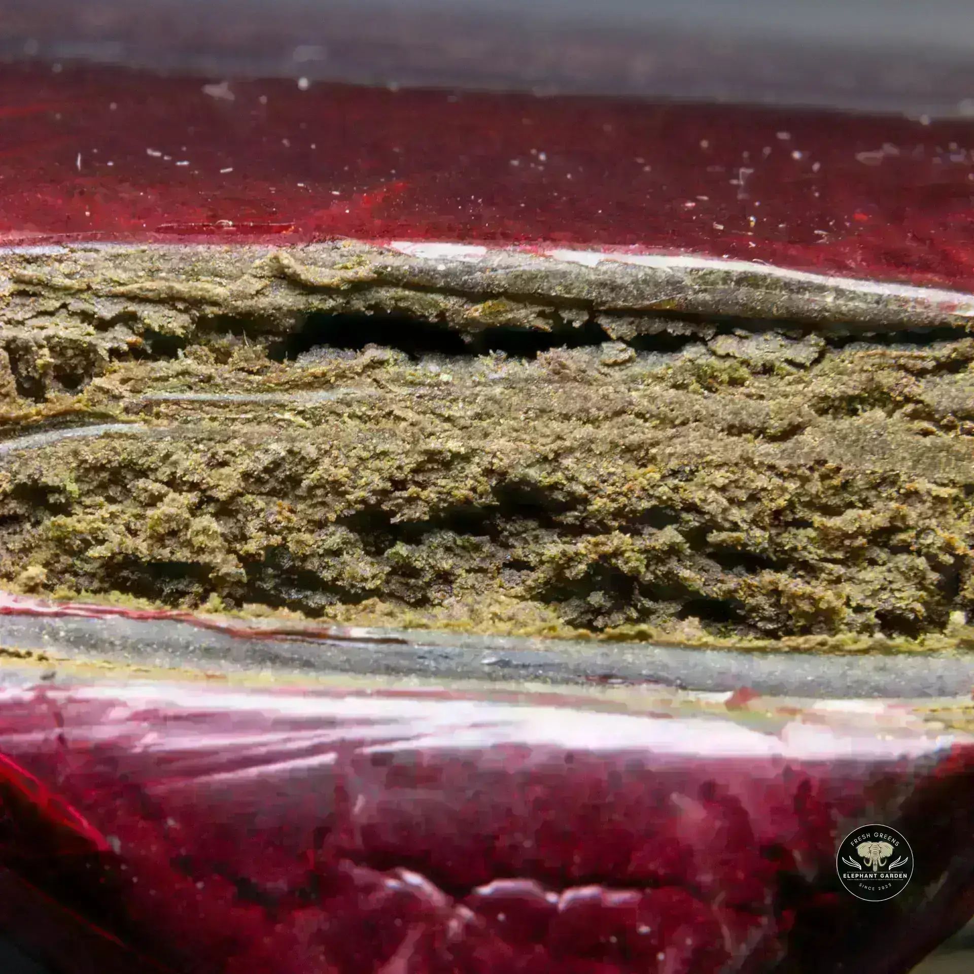 Buy Kabul at Elephant Garden Co Weed Dispensary Burn 11 13 24