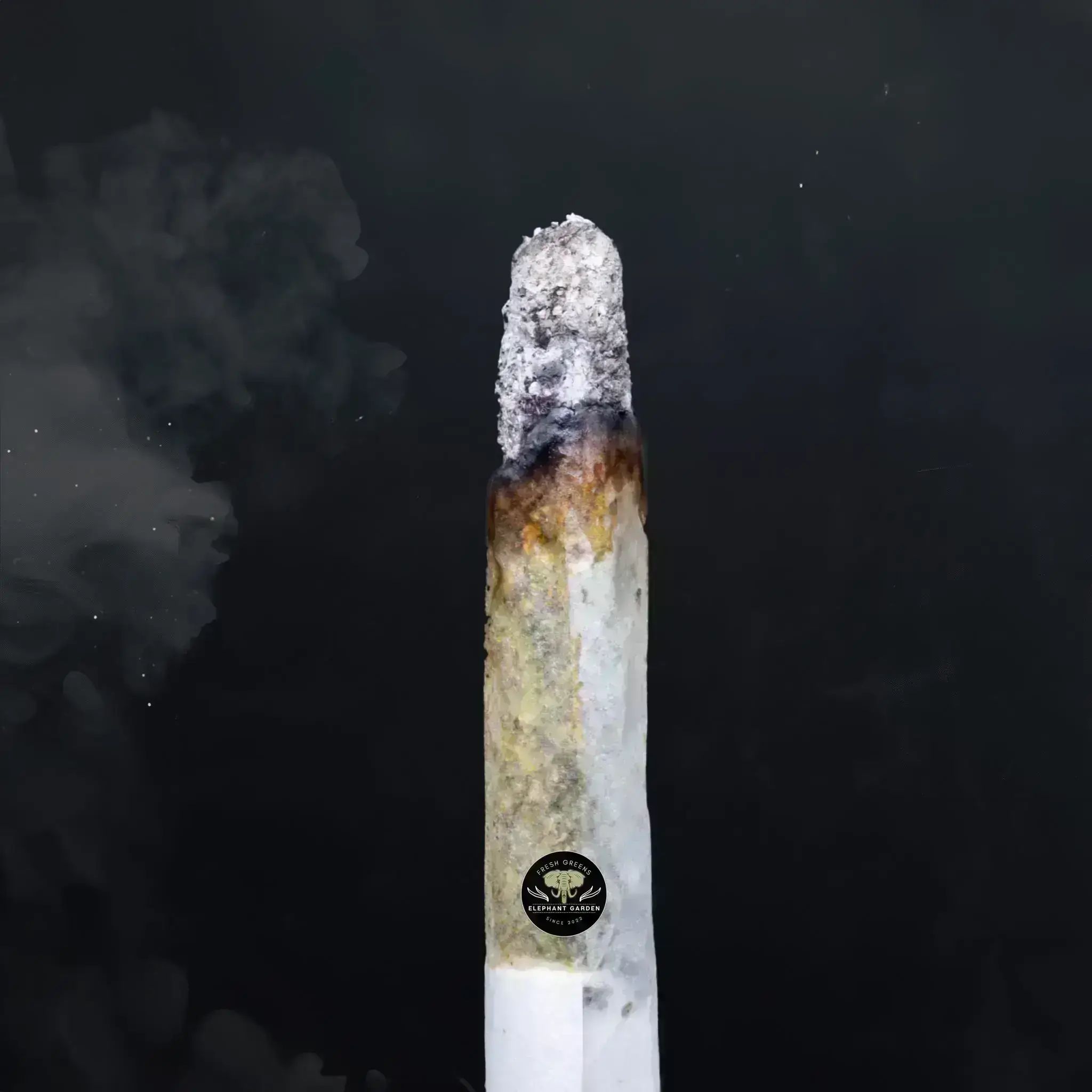 Buy Predator Pink at Elephant Garden Co Weed Dispensary Close 10 15 24 2