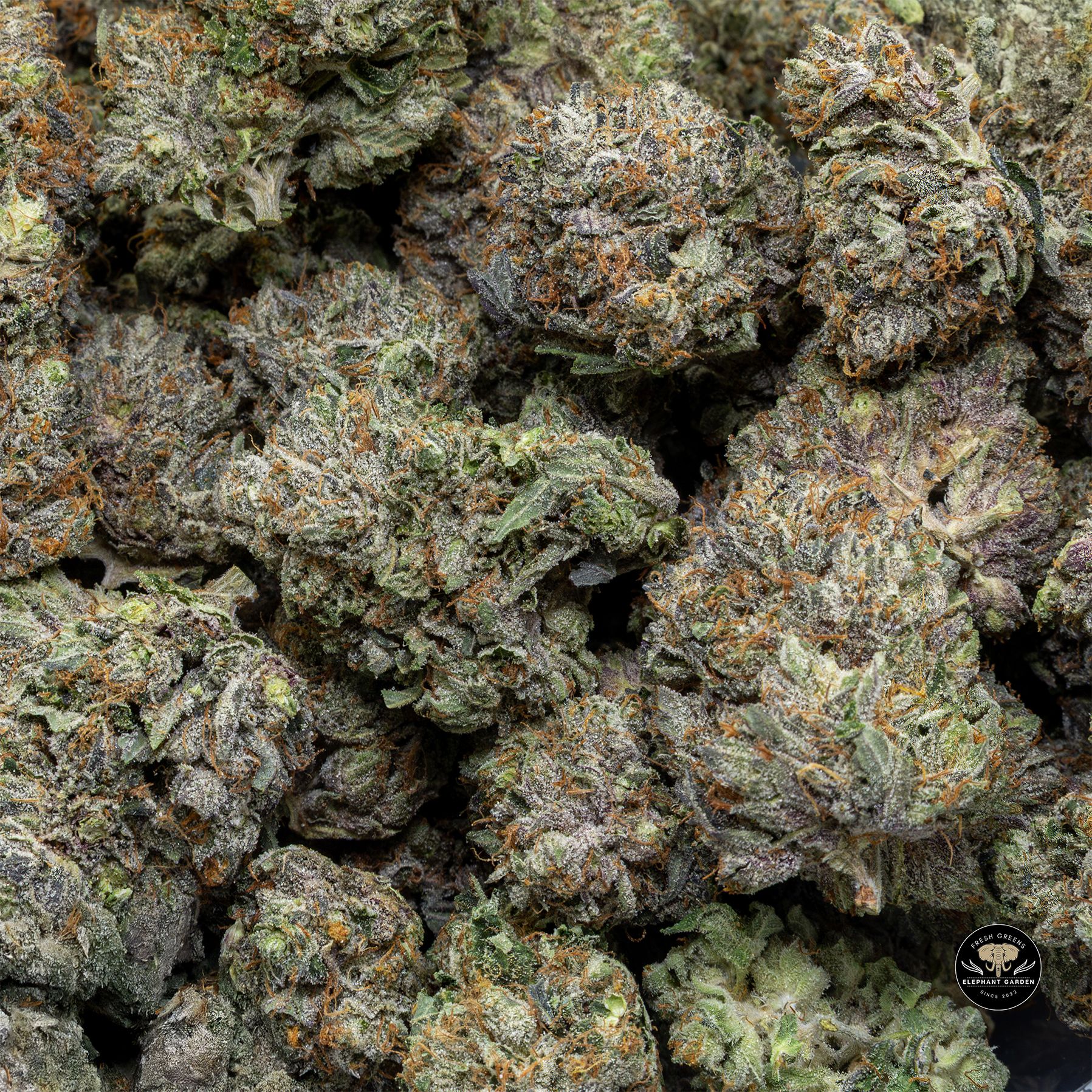Buy Death Bubba at Elephant Garden Co Weed Dispensary Bulk 3 6 25