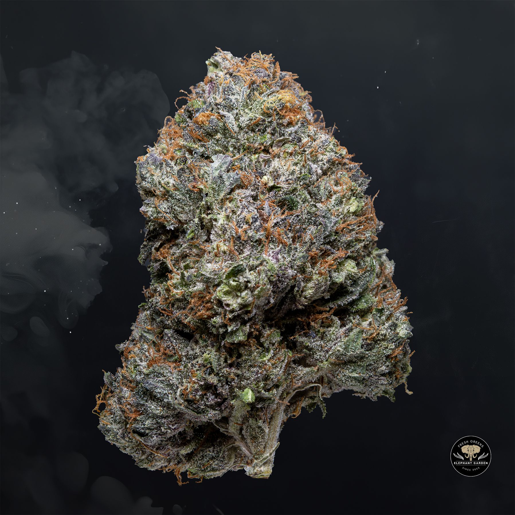 Buy Death Bubba at Elephant Garden Co Weed Dispensary Float 3 11 25 2