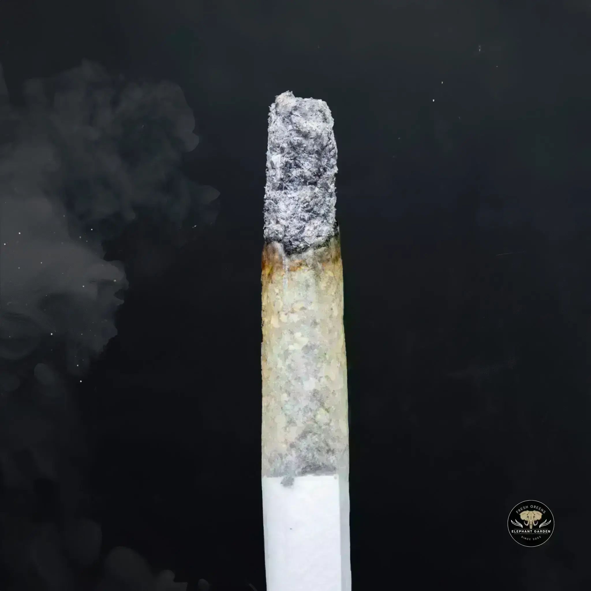 Buy Greasy Pink at Elephant Garden Co Weed Dispensary Burn 11 13 24