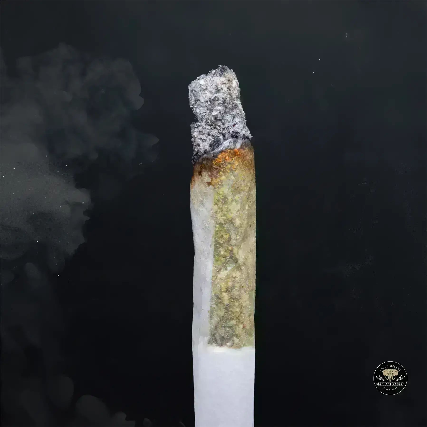 Buy Mac at Elephant Garden Co Weed Dispensary Burn 1 23 25