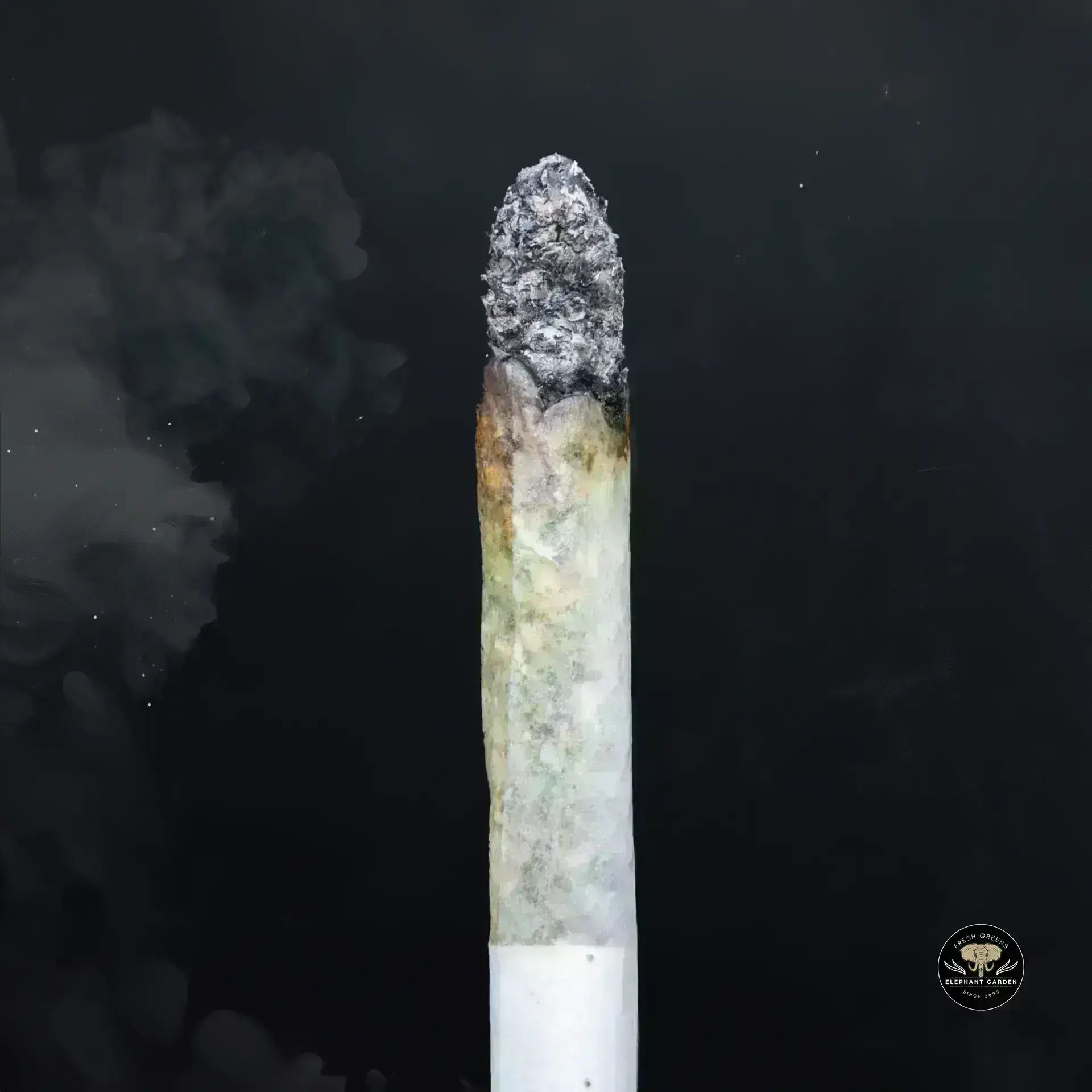 Buy Sour Tahoe Pop at Elephant Garden Co Weed Dispensary Burn 11 13 24
