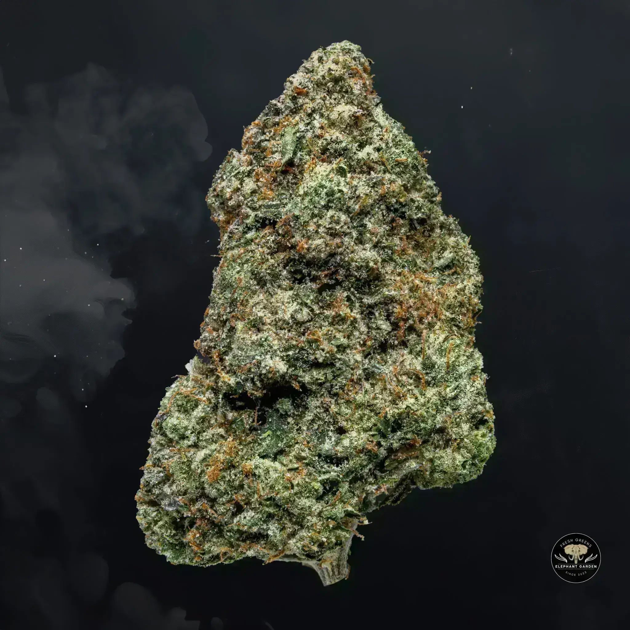 Buy Gucci Pink at Elephant Garden Co Weed Dispensary Float 11 13 24 4