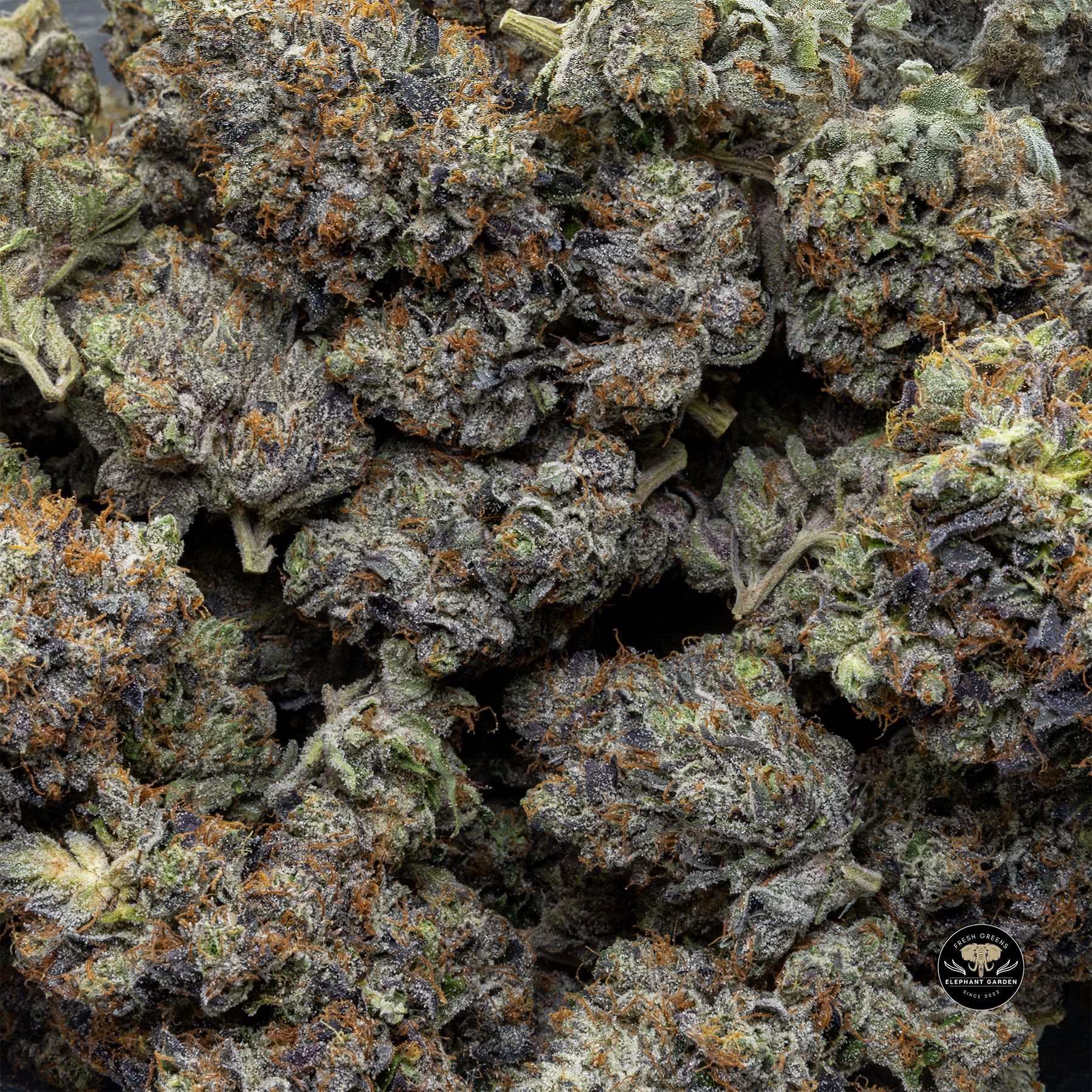 Buy Darth Vader OG at Elephant Garden Co Weed Dispensary Bulk 1 28 25