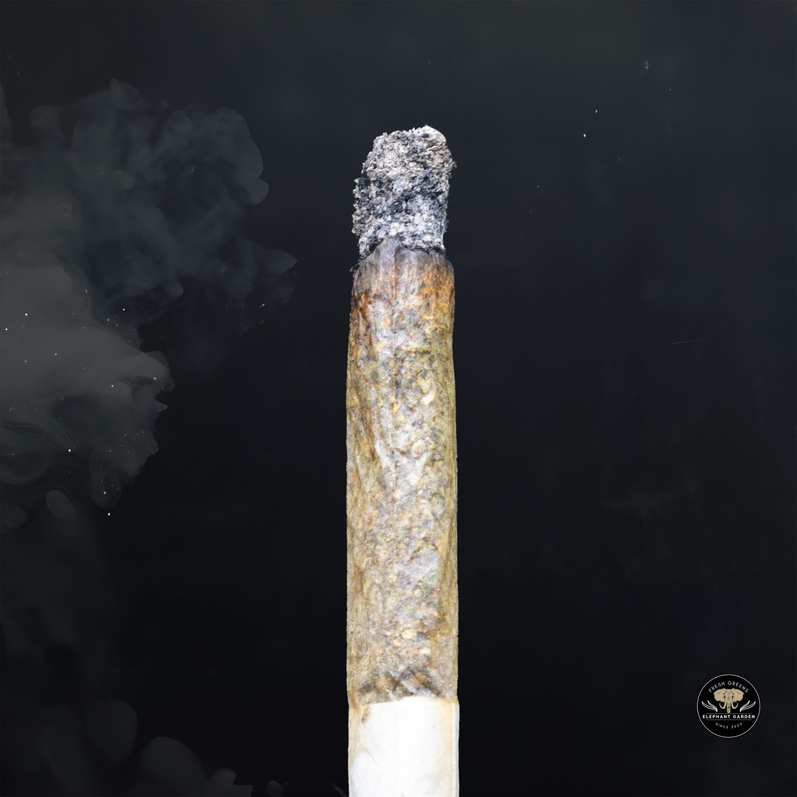 Buy Darth Vader OG at Elephant Garden Co Weed Dispensary Burn 1 23 25