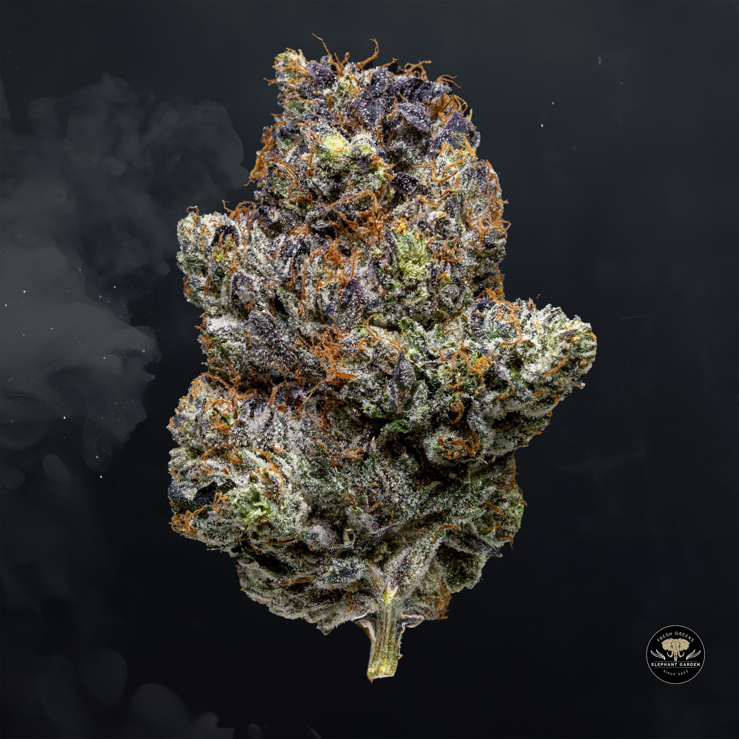 Buy Gas Mask at Elephant Garden Co Weed Dispensary Float 1 23 24 2