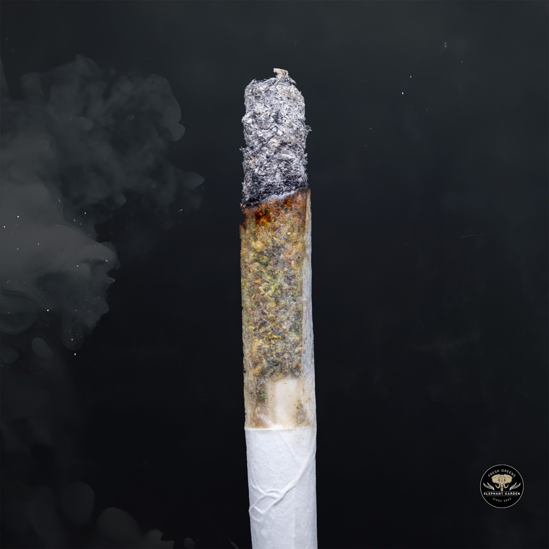 Buy Mike Tyson at Elephant Garden Co Weed Dispensary Burn 1 23 25