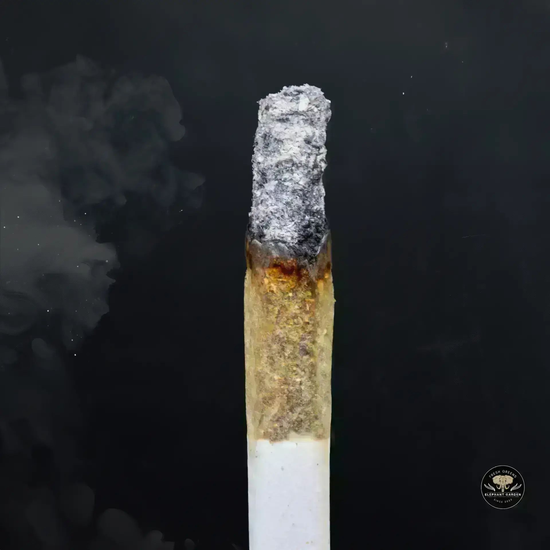 Buy Shiska Berry at Elephant Garden Co Weed Dispensary Burn 11 13 24