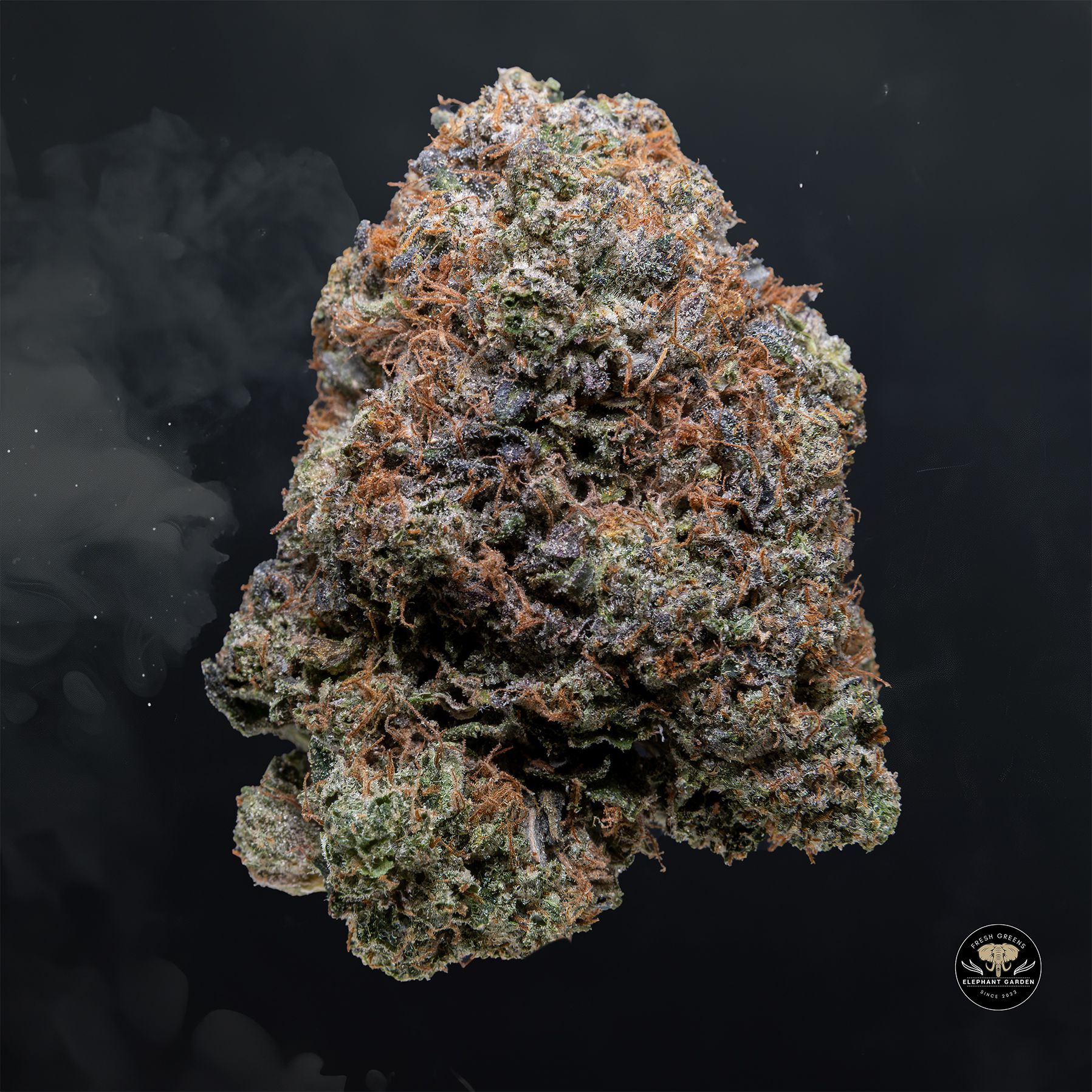 Buy Bluefin Tuna at Elephant Garden Co Weed Dispensary Float 3 11 25 2