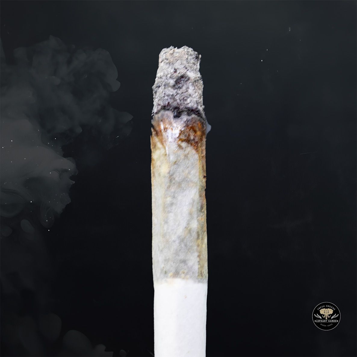 Buy Platinum OG at Elephant Garden Co Weed Dispensary Burn 1 23 25