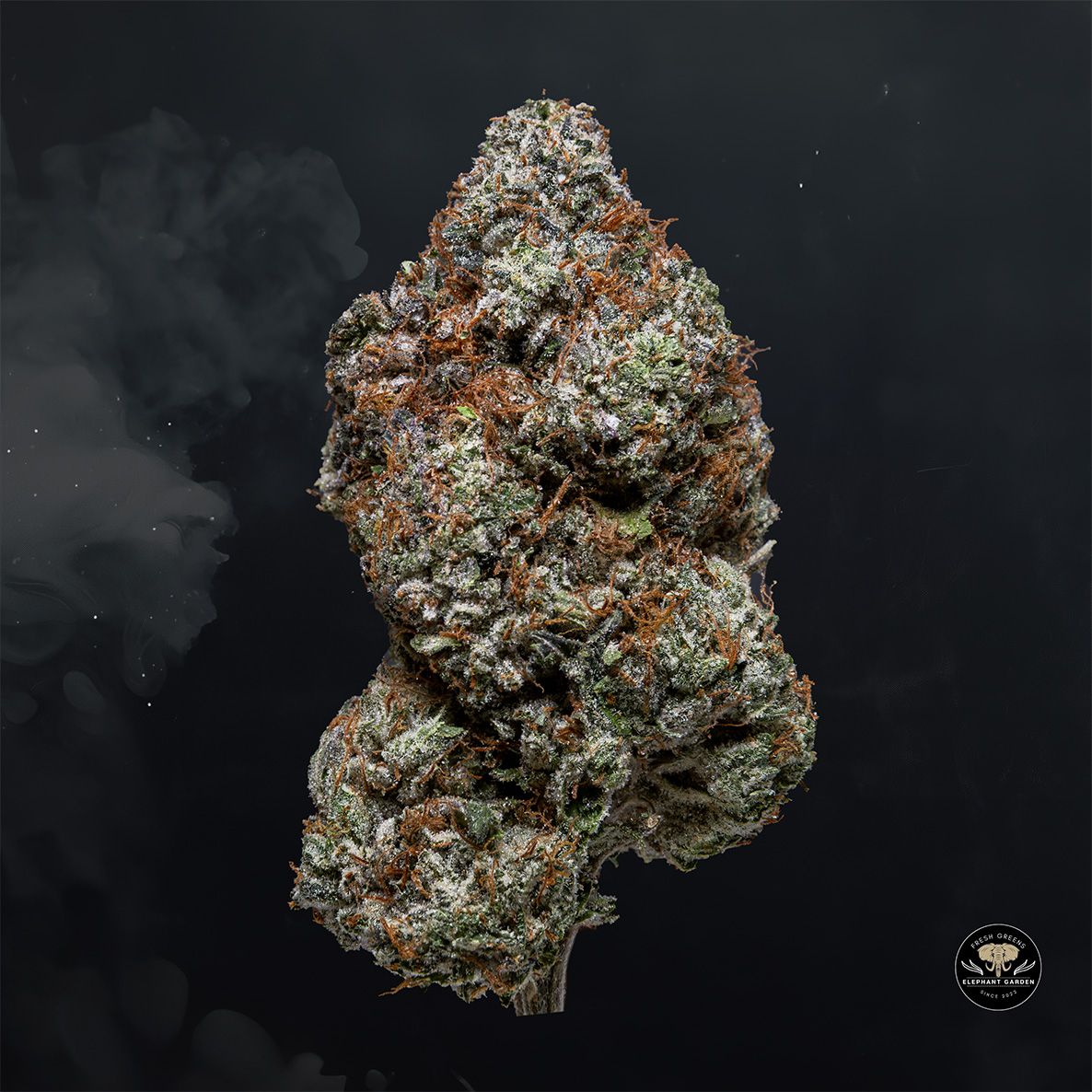 Buy Platinum OG at Elephant Garden Co Weed Dispensary Float 3 11 25 2