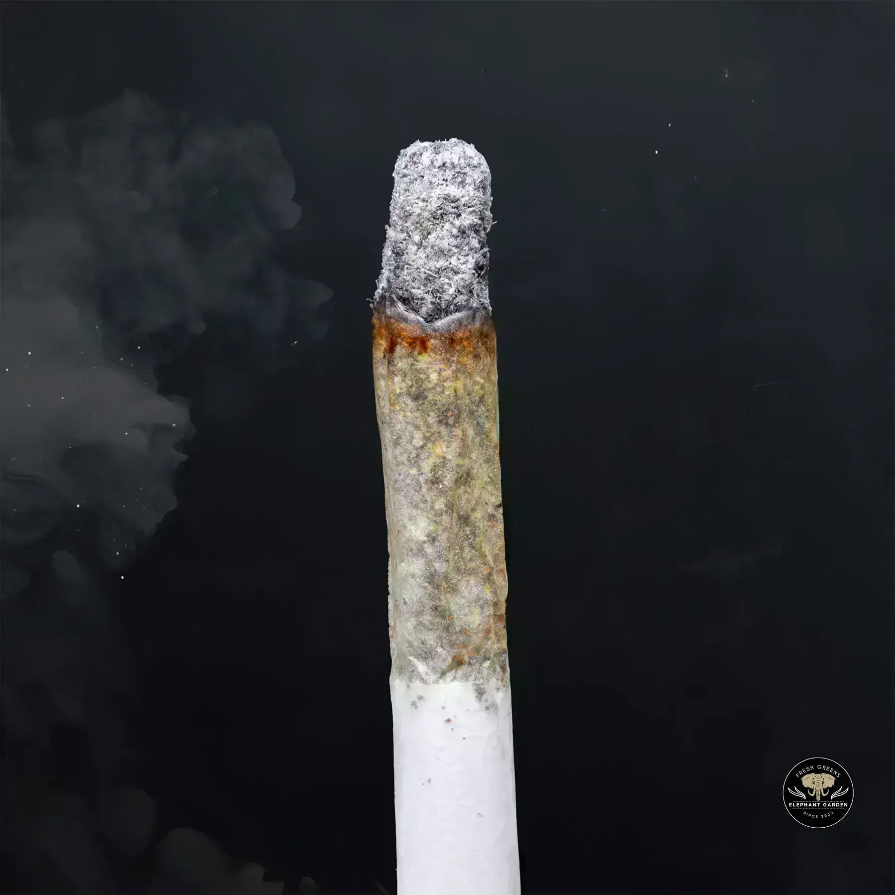 Buy Cherry Gelato at Elephant Garden Co Weed Dispensary Burn 1 23 25