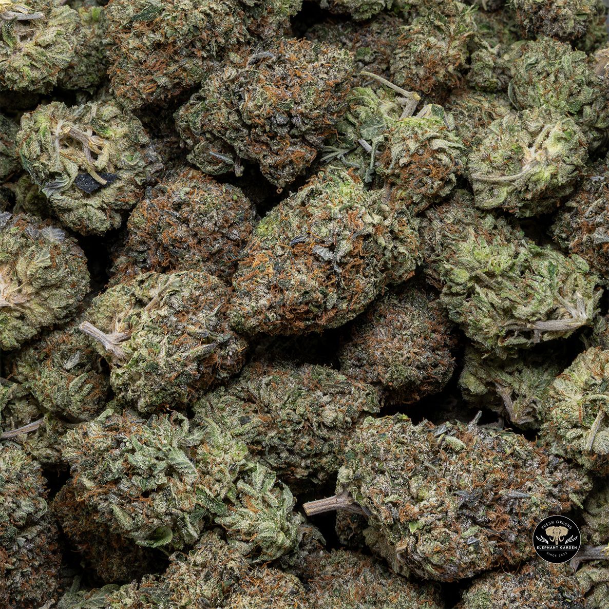 Buy Diablo Death Bubba at Elephant Garden Co Weed Dispensary Bulk 4 28 2025