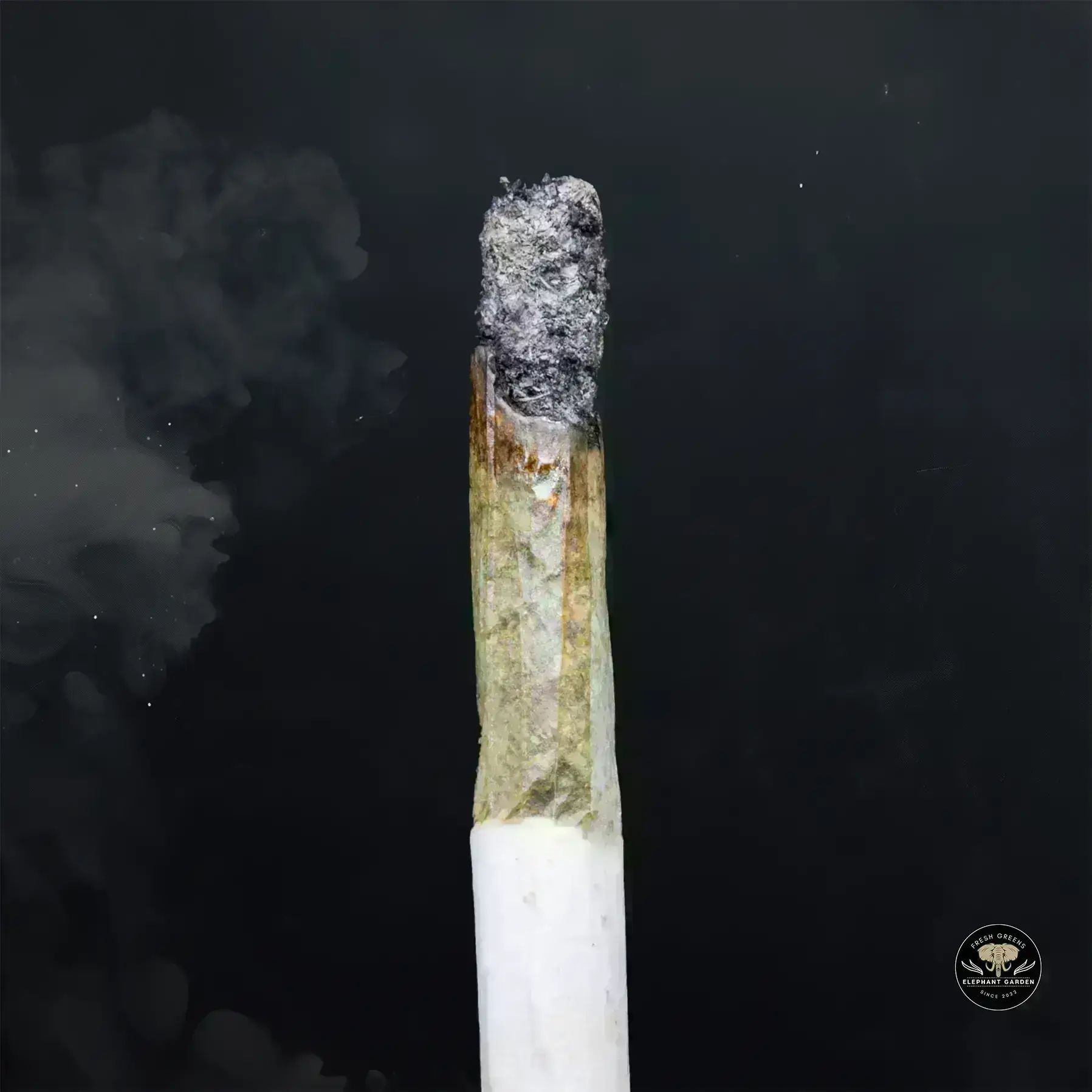 Buy Diablo Death Bubba at Elephant Garden Co Weed Dispensary Burn 11 13 24