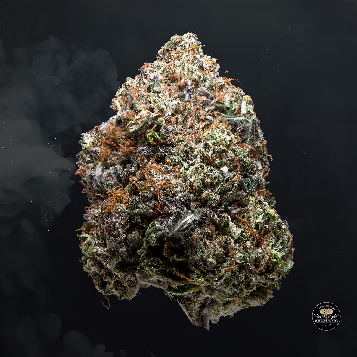 Buy Diablo Death Bubba at Elephant Garden Co Weed Dispensary Float 3 11 25 2