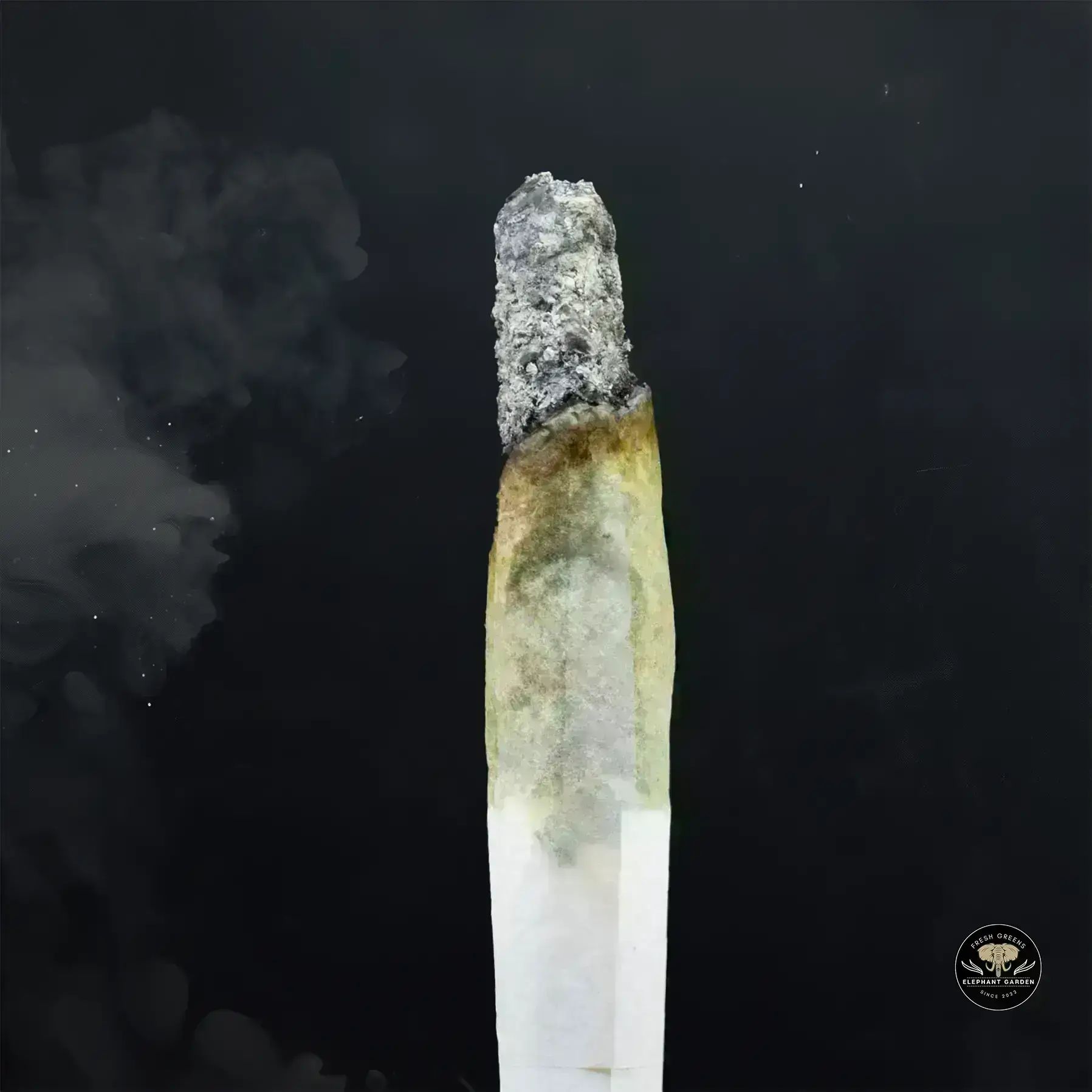 Buy Grape Punch at Elephant Garden Co Weed Dispensary Burn 11 13 24