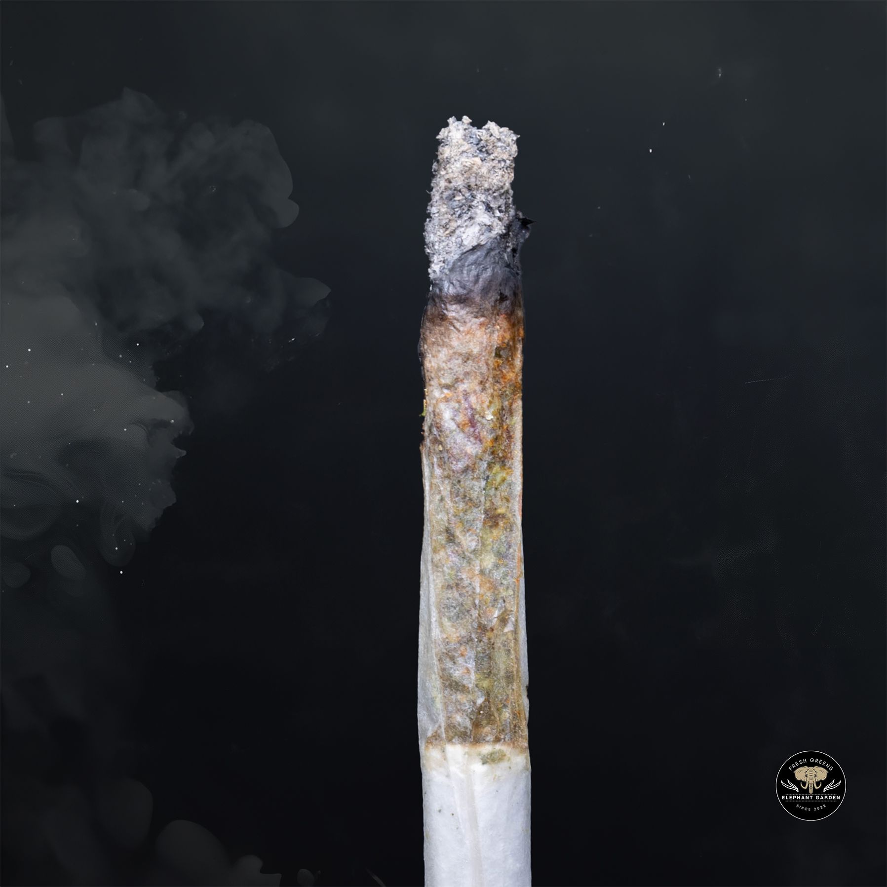 Buy Island Pink at Elephant Garden Co Weed Dispensary Burn 1 23 25