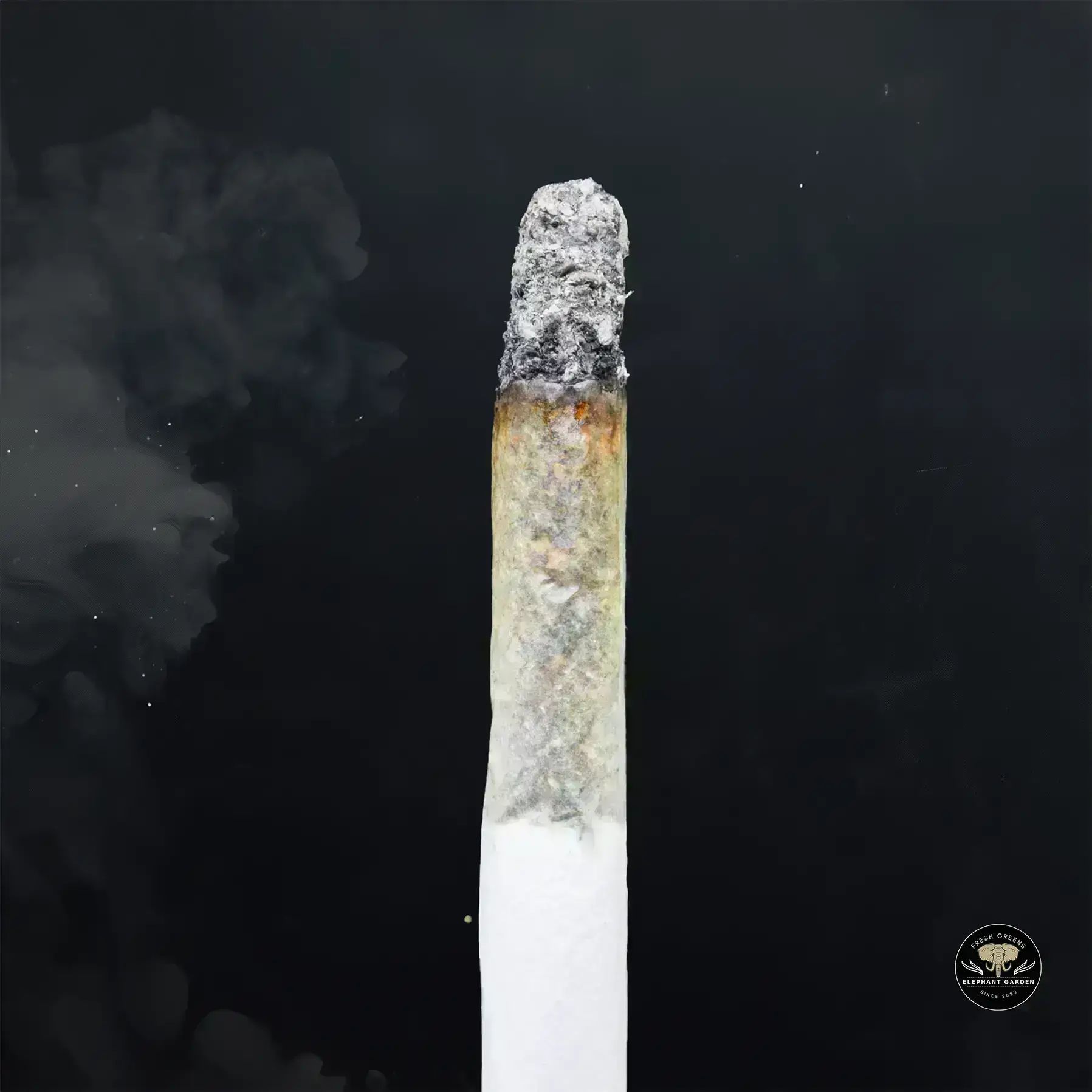 Buy Berry Bliss at Elephant Garden Co Weed Dispensary Burn 11 13 24