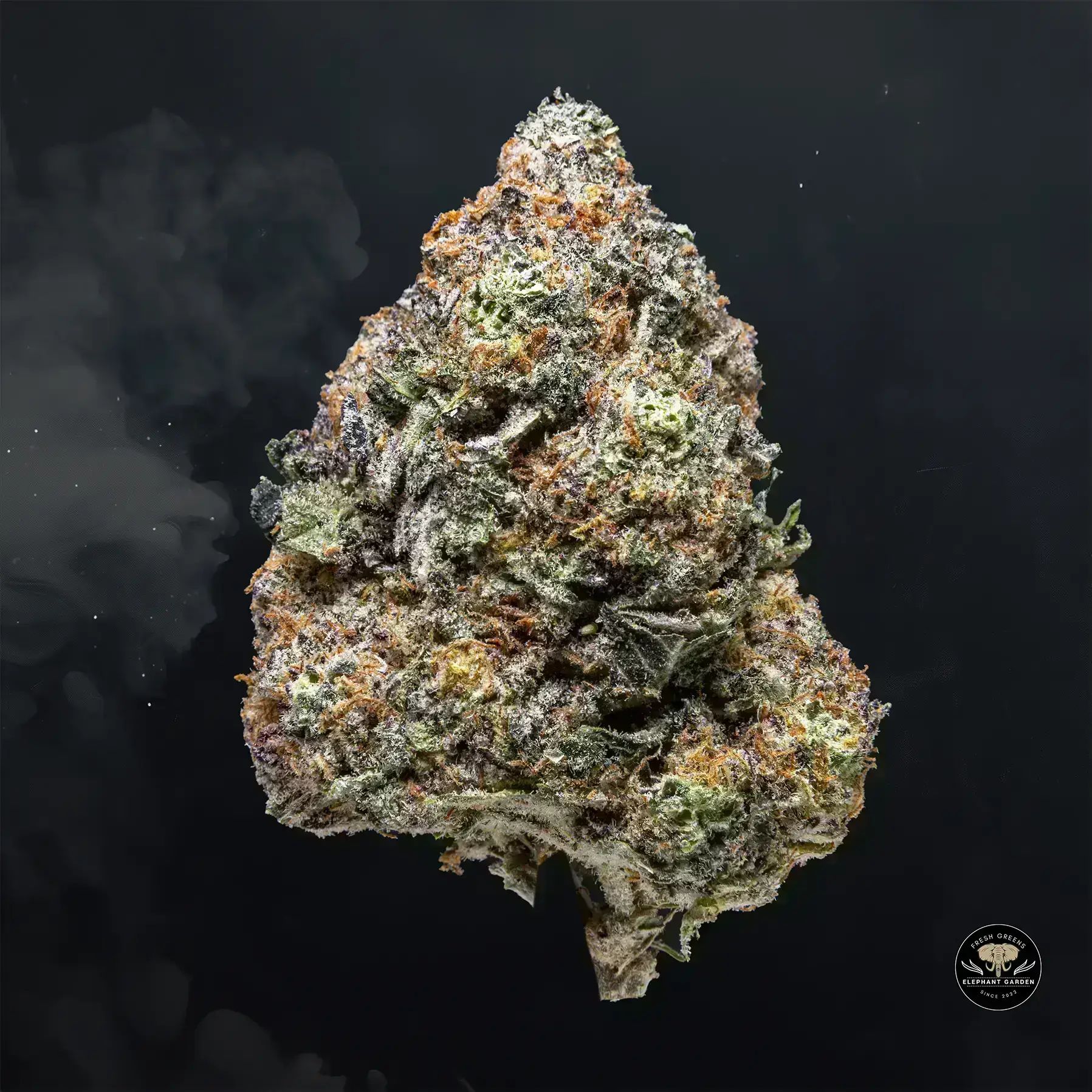 Buy Berry Bliss at Elephant Garden Co Weed Dispensary Float 11 13 24 4