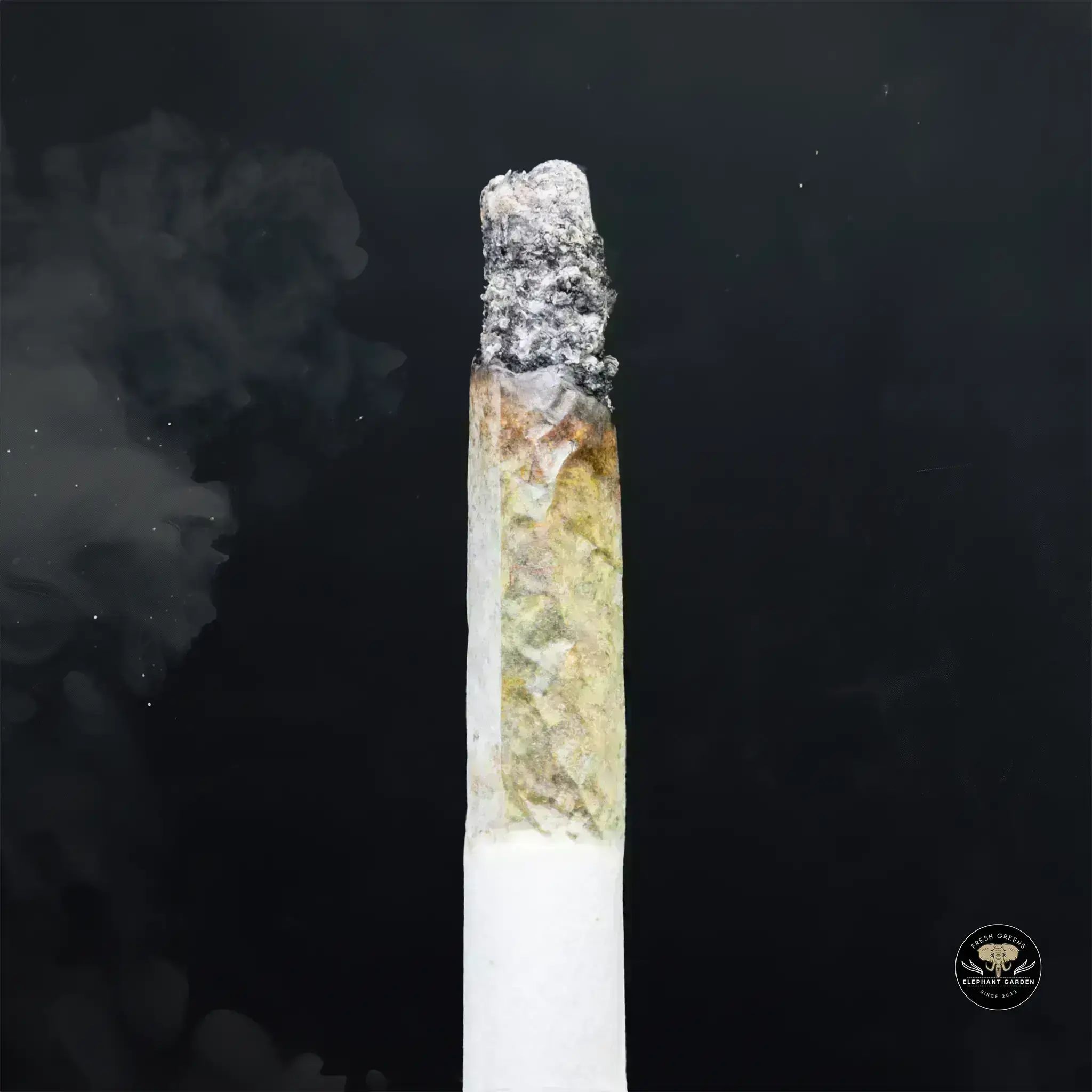 Buy Tom Ford Pink at Elephant Garden Co Weed Dispensary Burn 11 13 24