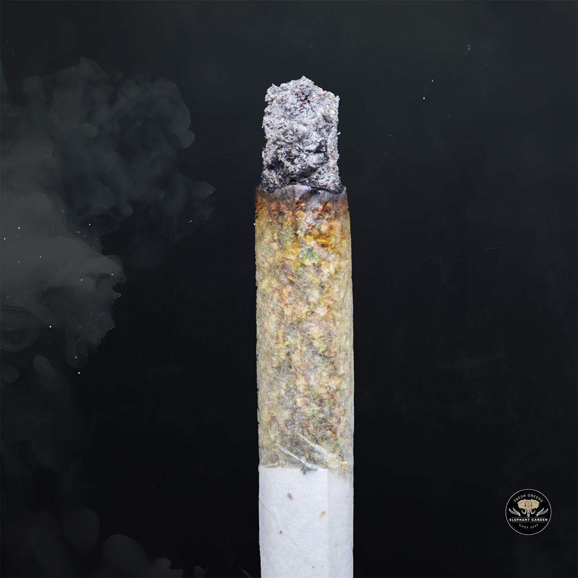 Buy Pink Kush at Elephant Garden Co Weed Dispensary Burn 1 23 25